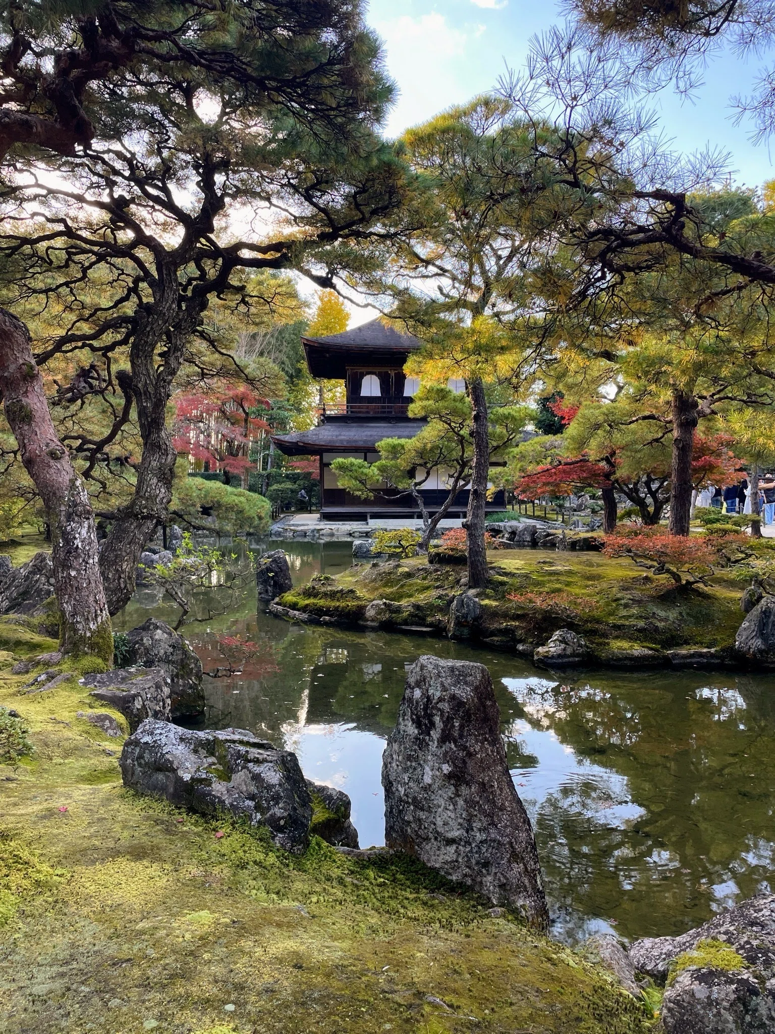 京都古寺散策 京都 【公式通販】