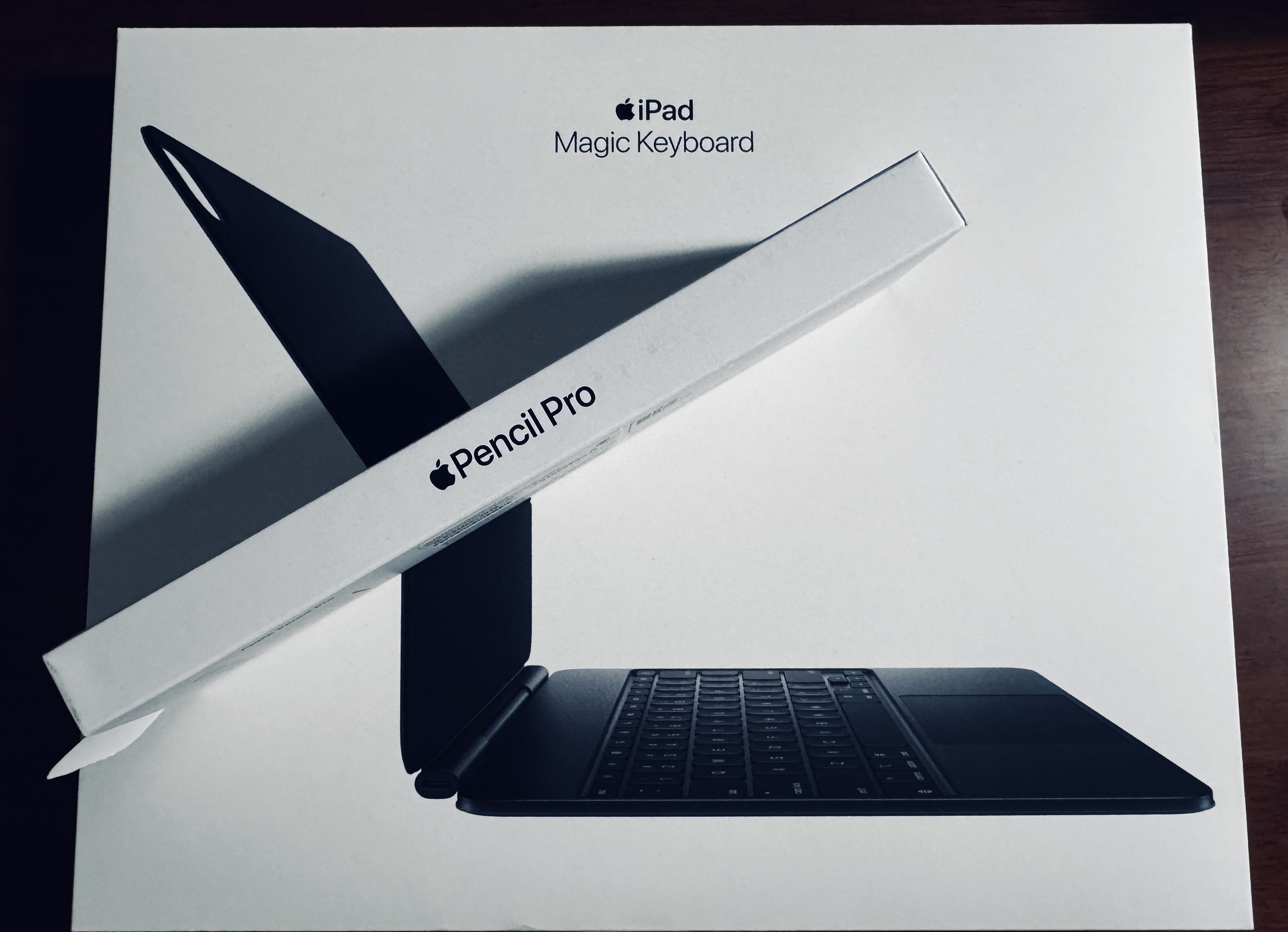 iPad Pro M5】11インチ派の私が、あえて「13インチ」を選んで約30万円