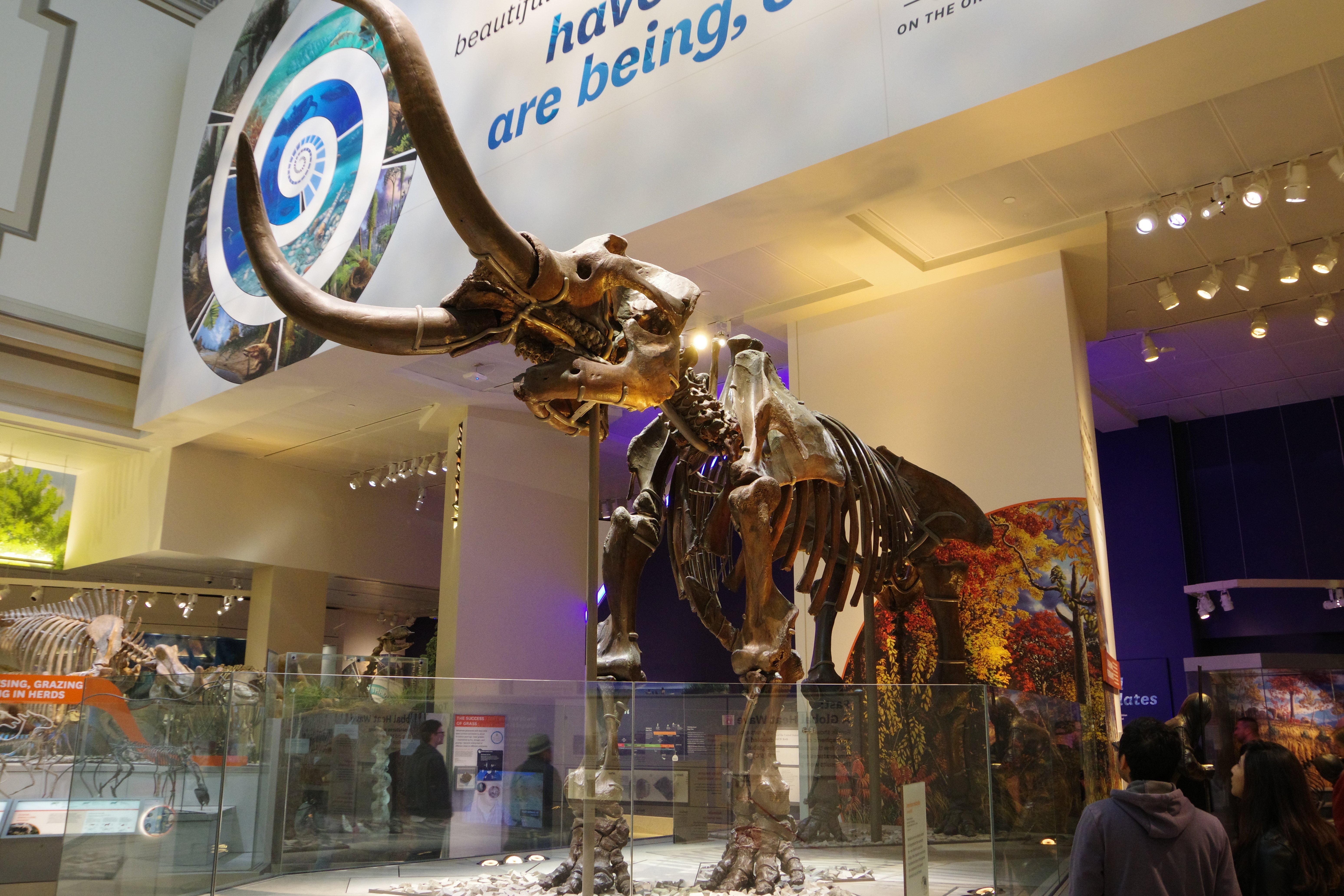 スミソニアンの博物館群を超速で巡る【ワシントンD.C.旅行記①