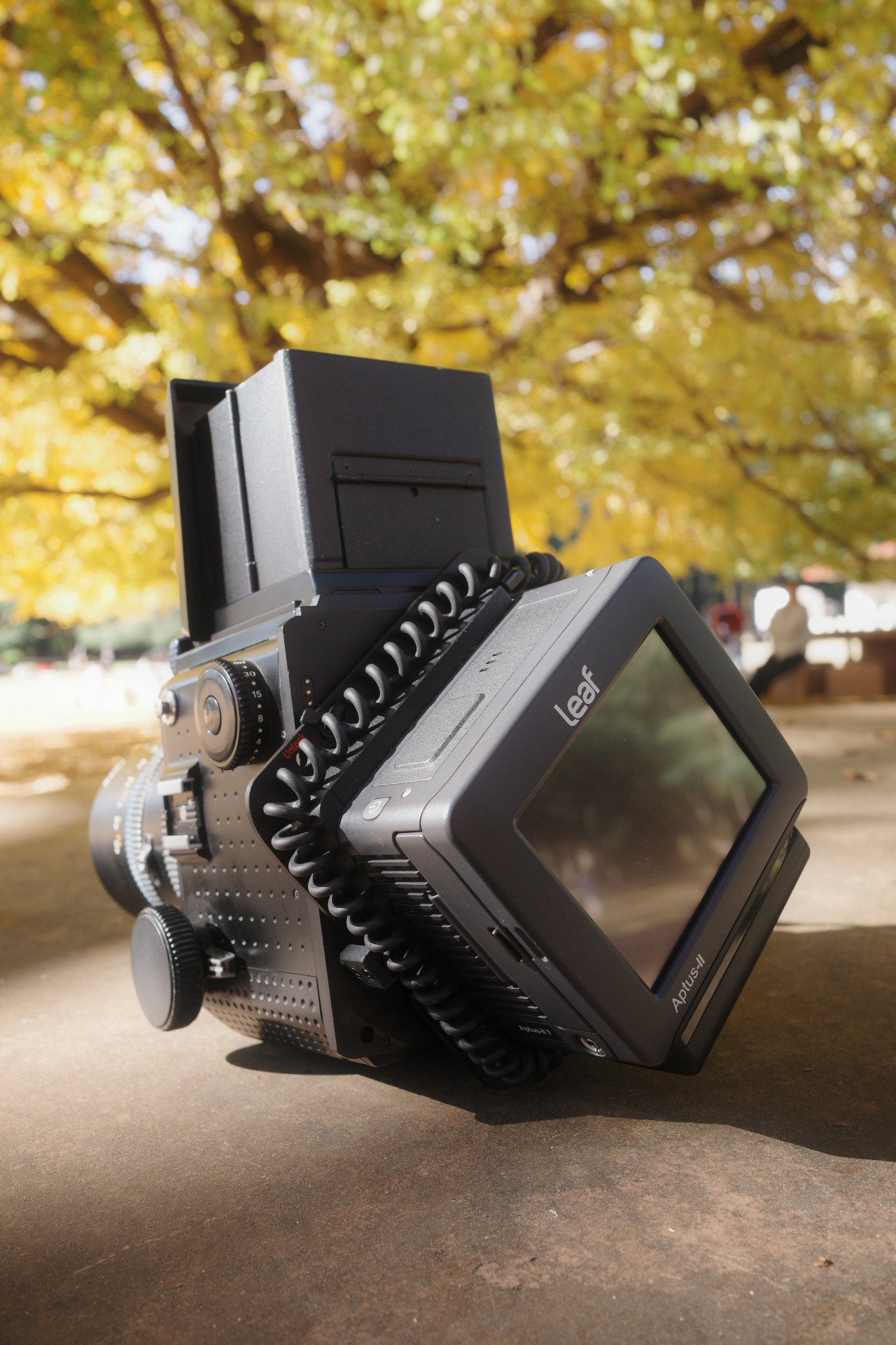 RZ67デジタル難民の新たな救世主。令和に降り立ったデジタルバック