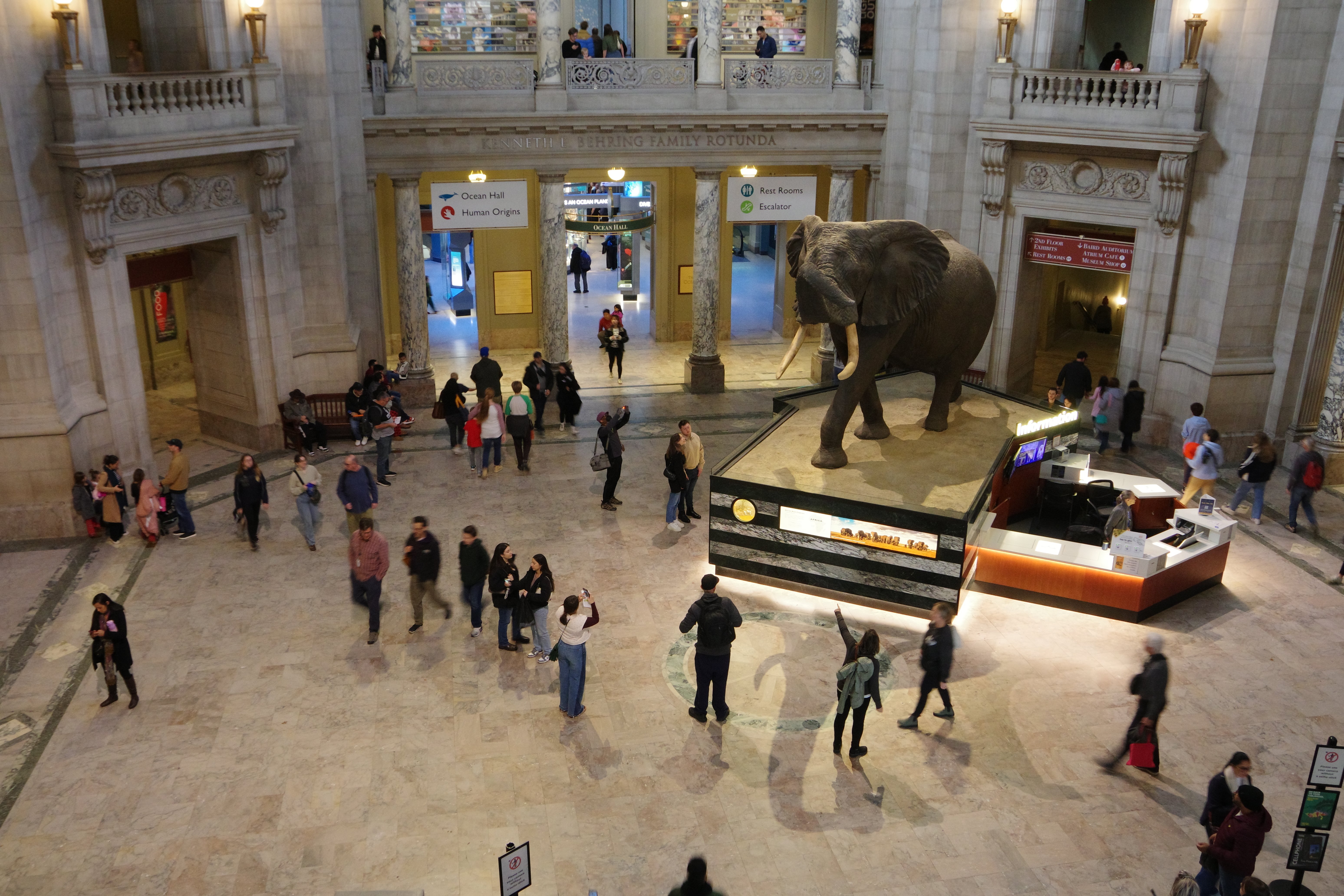 スミソニアンの博物館群を超速で巡る【ワシントンD.C.旅行記①