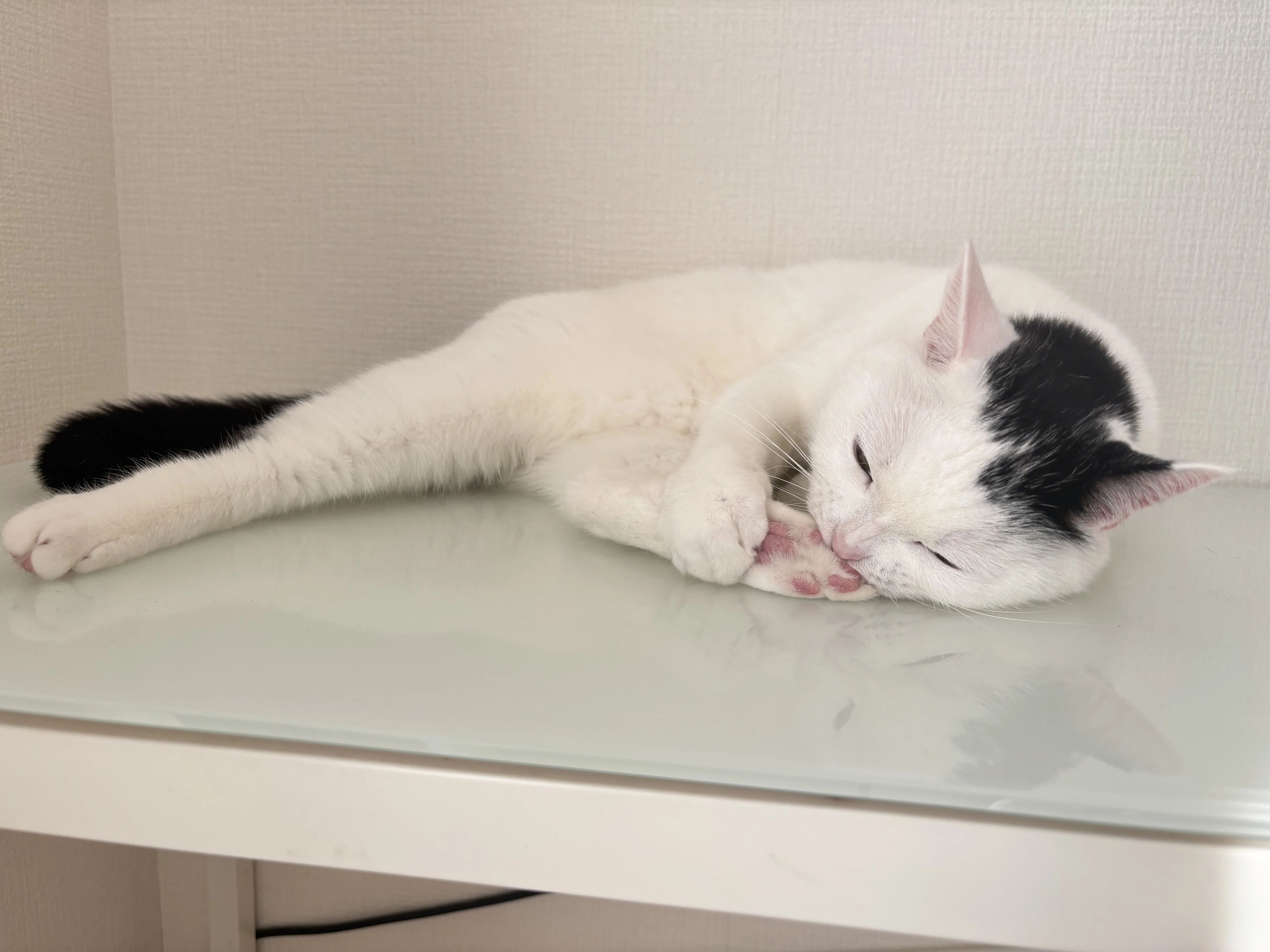 2025/11/26｜仕事部屋のたけちゃん｜まつもとたけると家族の話