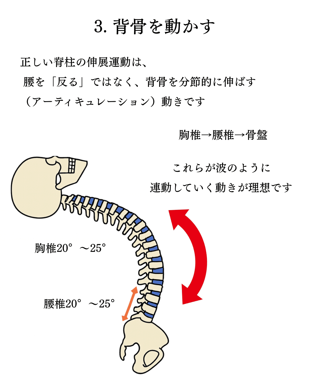 効果的なSwan、Swan Prepとは｜satoru 今から始める生活美