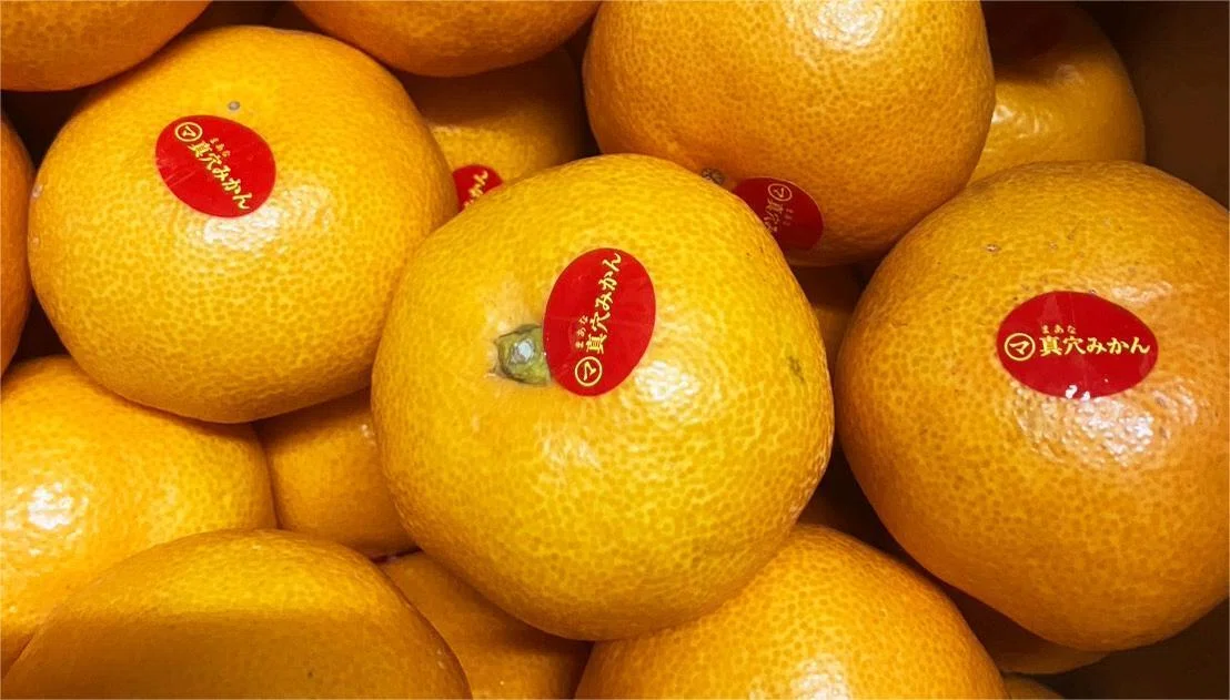 真穴みかん】――“みかんの最高峰”と言われる理由とは？｜808青果店