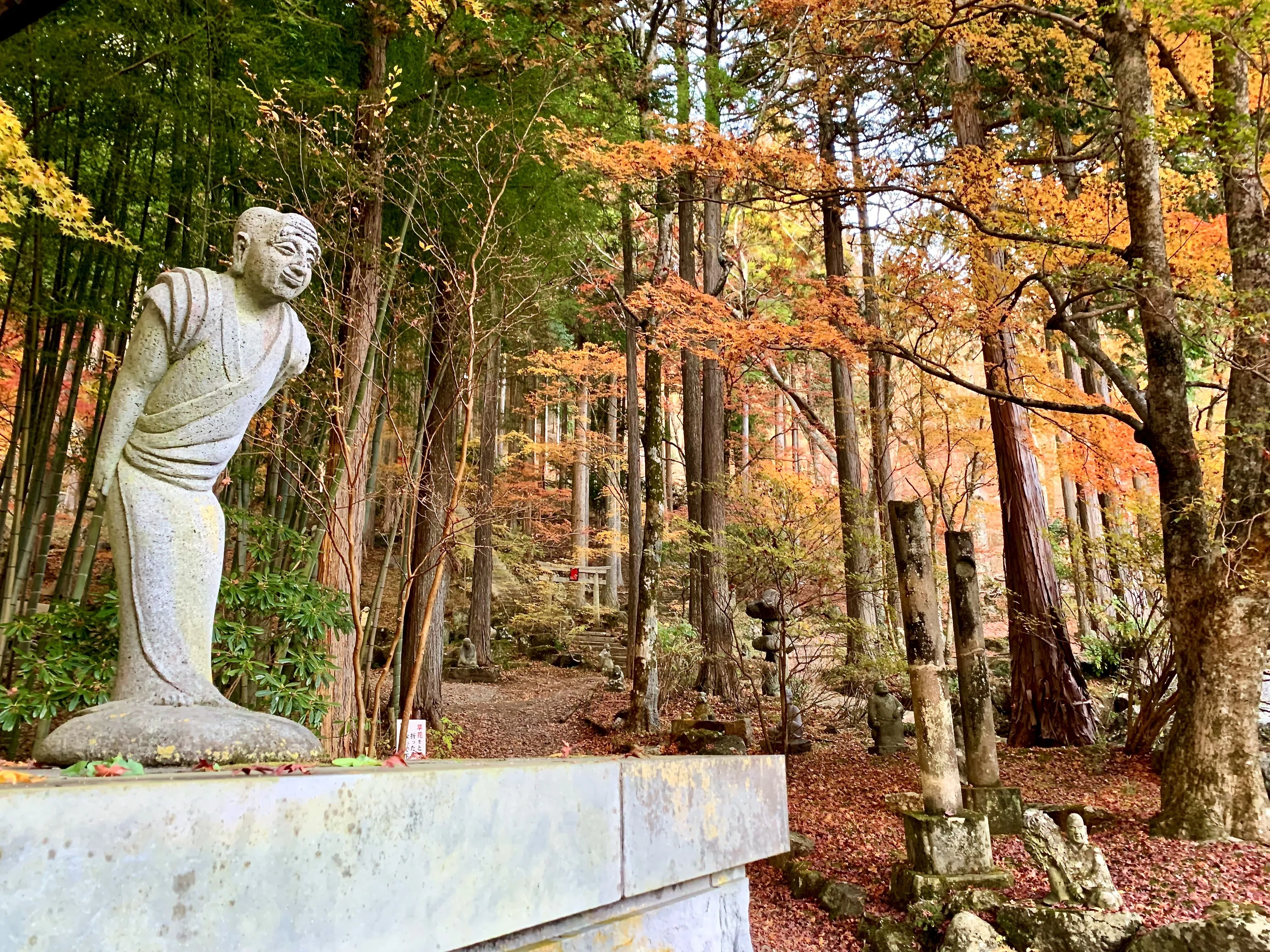 おでかけ：長安寺ーユニークな仏像が無数に立ち並ぶ、箱根の紅葉の名所