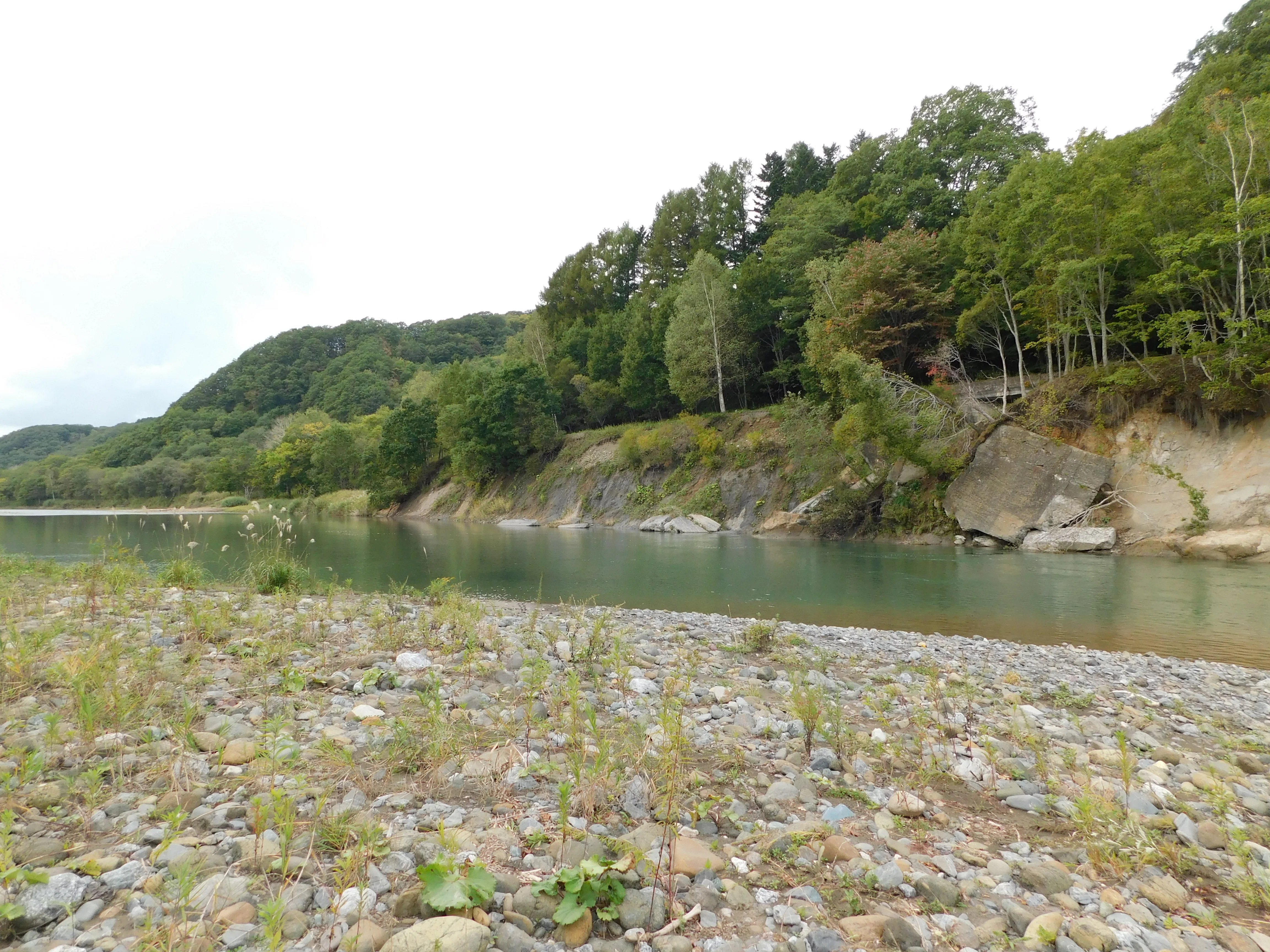 北海道の廃線跡探訪 番外篇 今年秋の補遺まとめ その2 道央篇（富内線