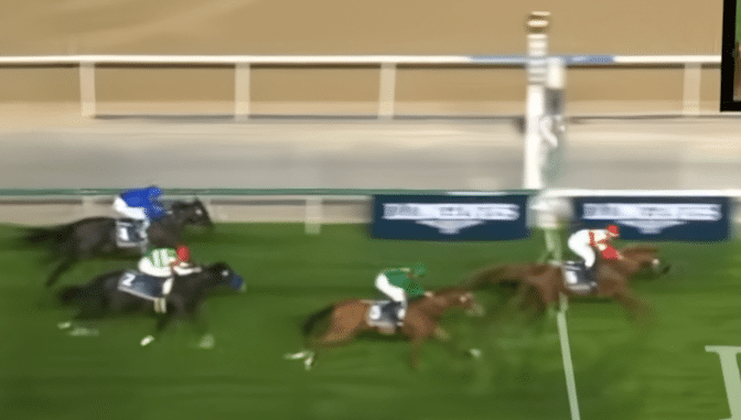 ジャパンカップ 2025 Allez！ カランダガン｜コボリノコフ