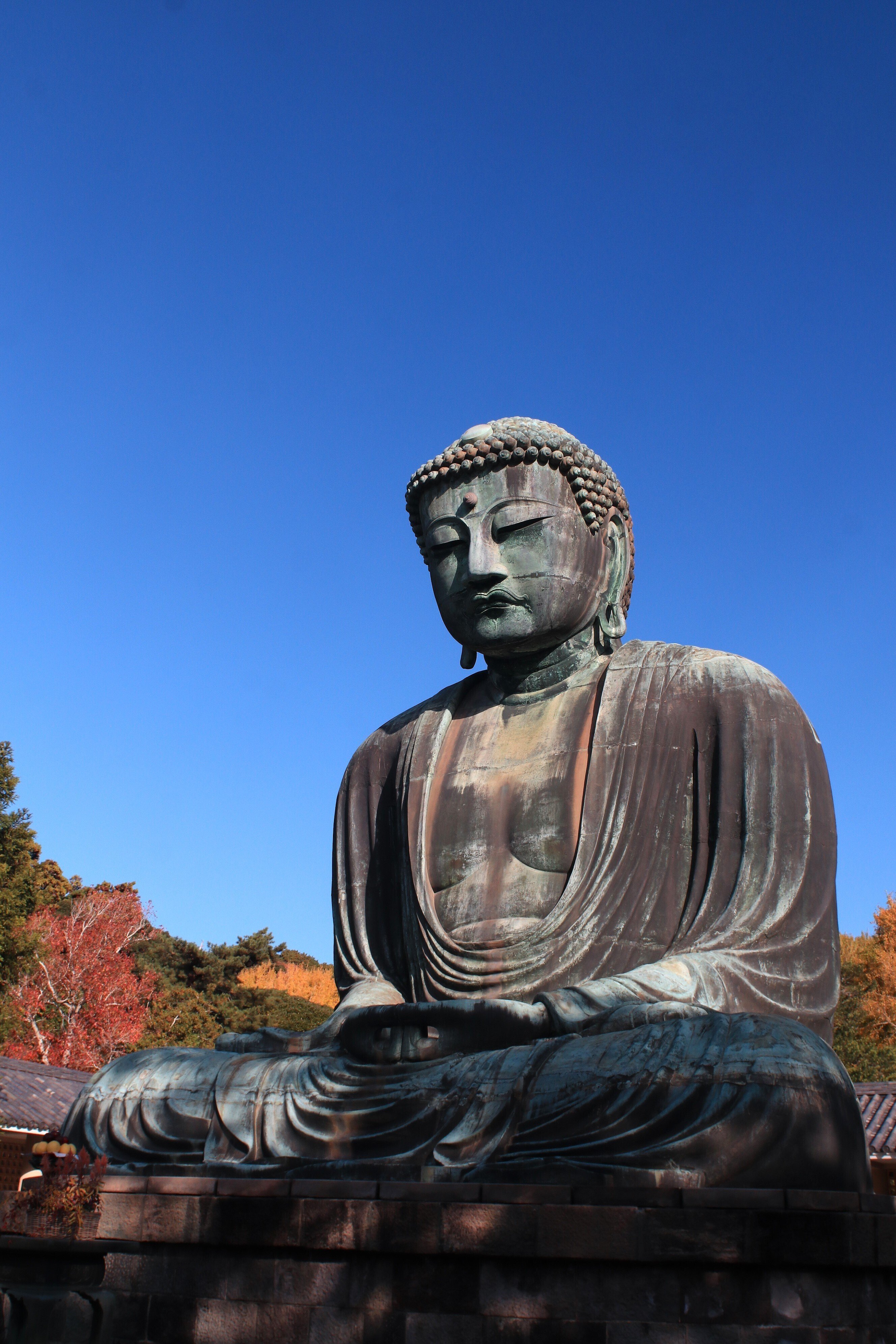 鎌倉大仏｜一花幻