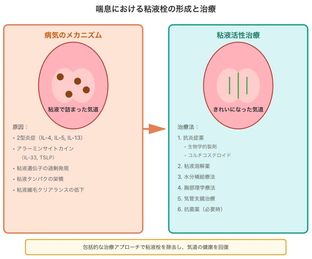 喘息における気道粘液栓の治療の進歩:生物学的製剤による新たな治療戦略|咳・痰と食物アレルギー 医学情報ノート from みちのく