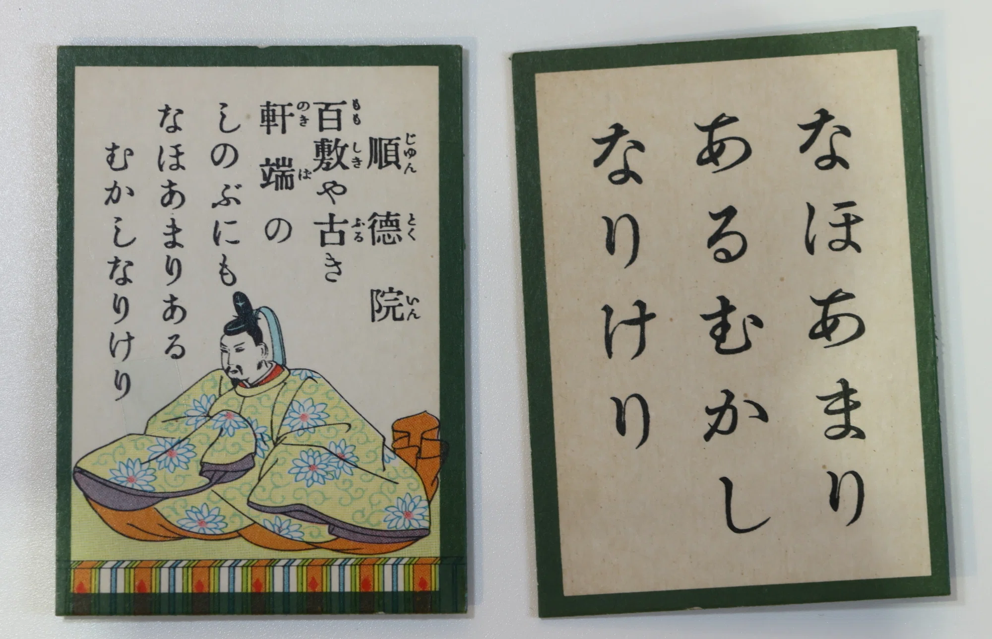 新種植物「タジマノキシノブ」展示／小倉百人一首にも登場するシダ類