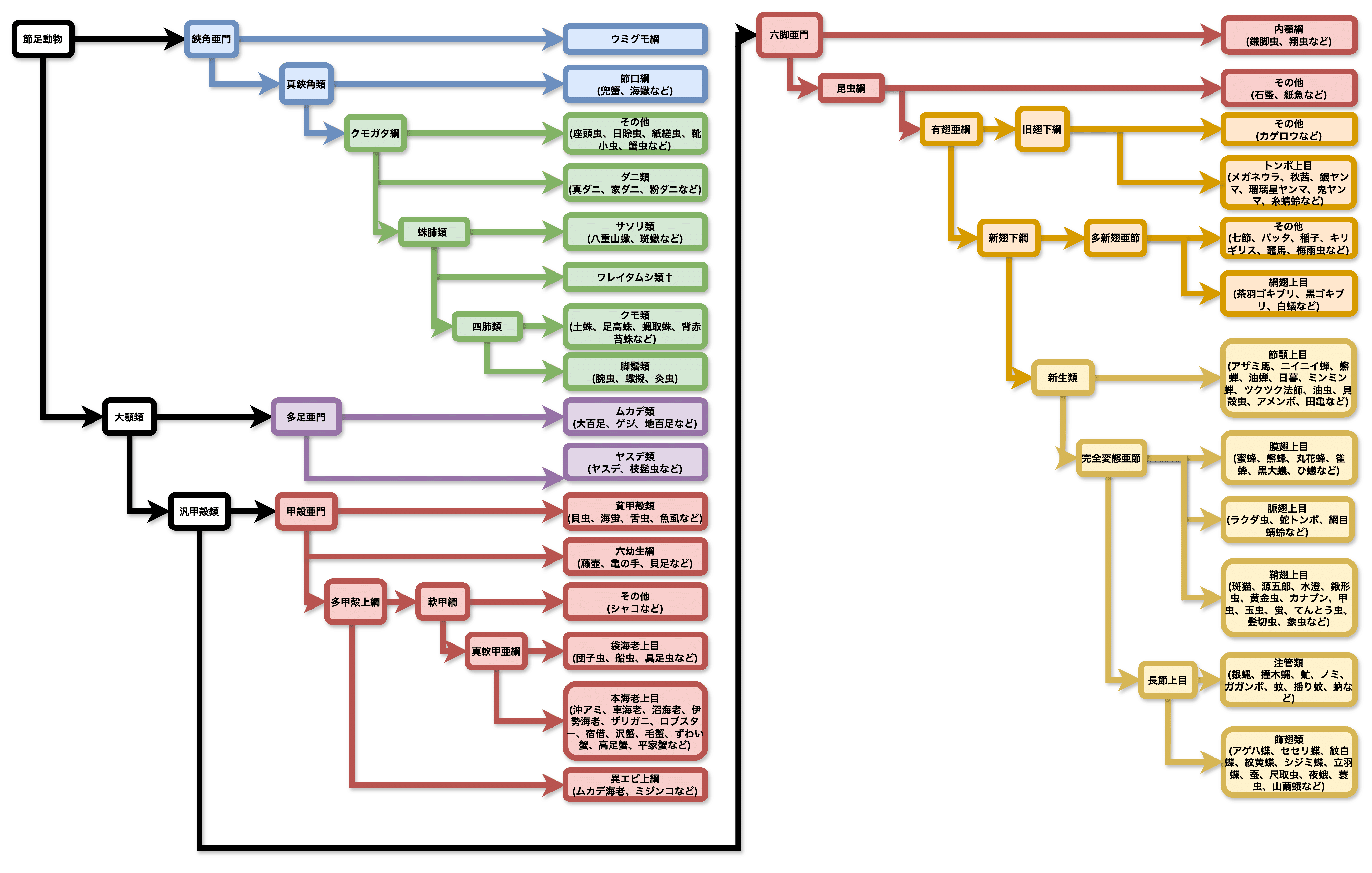 節足動物の系統樹｜春賀蓮之介