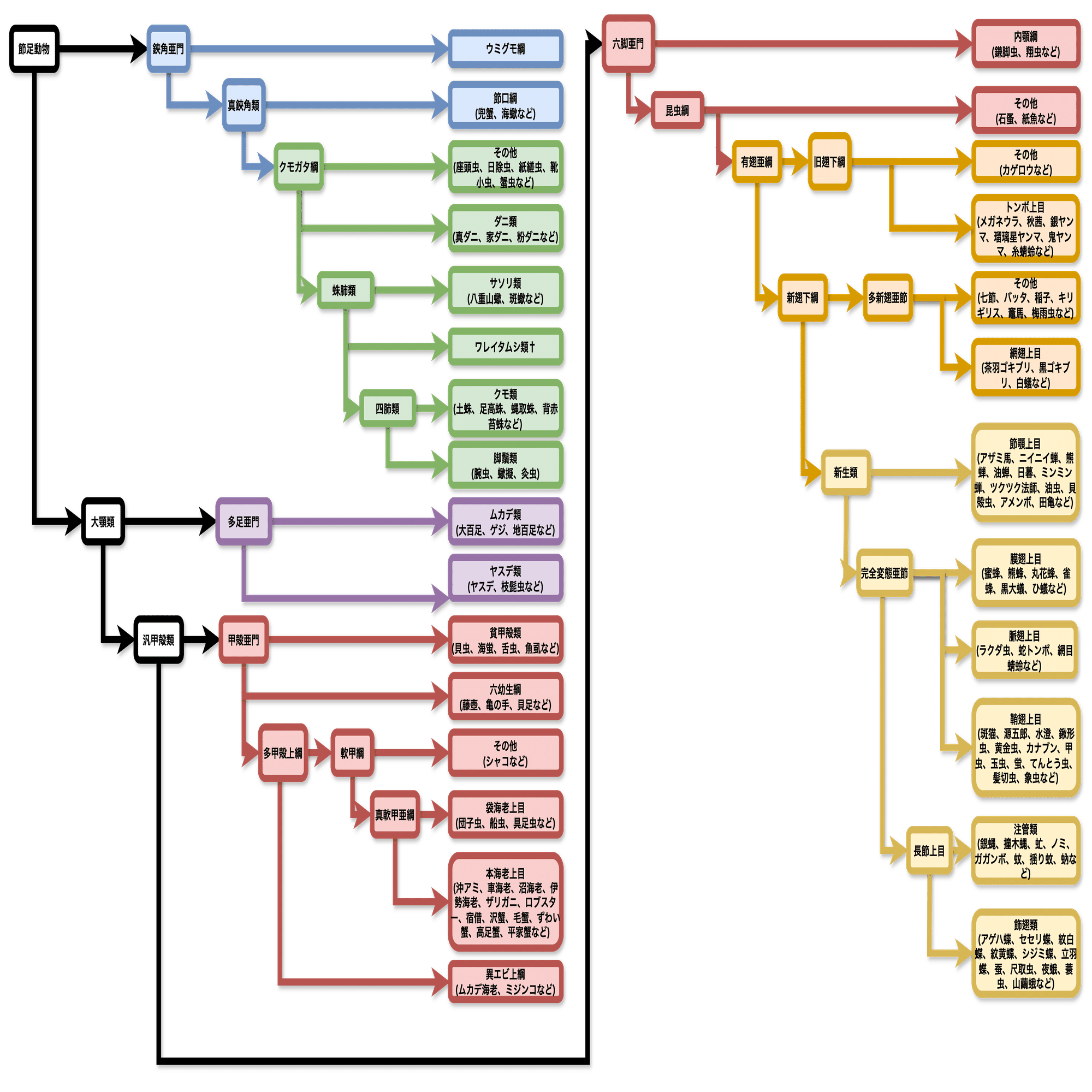 節足動物の系統樹｜春賀蓮之介
