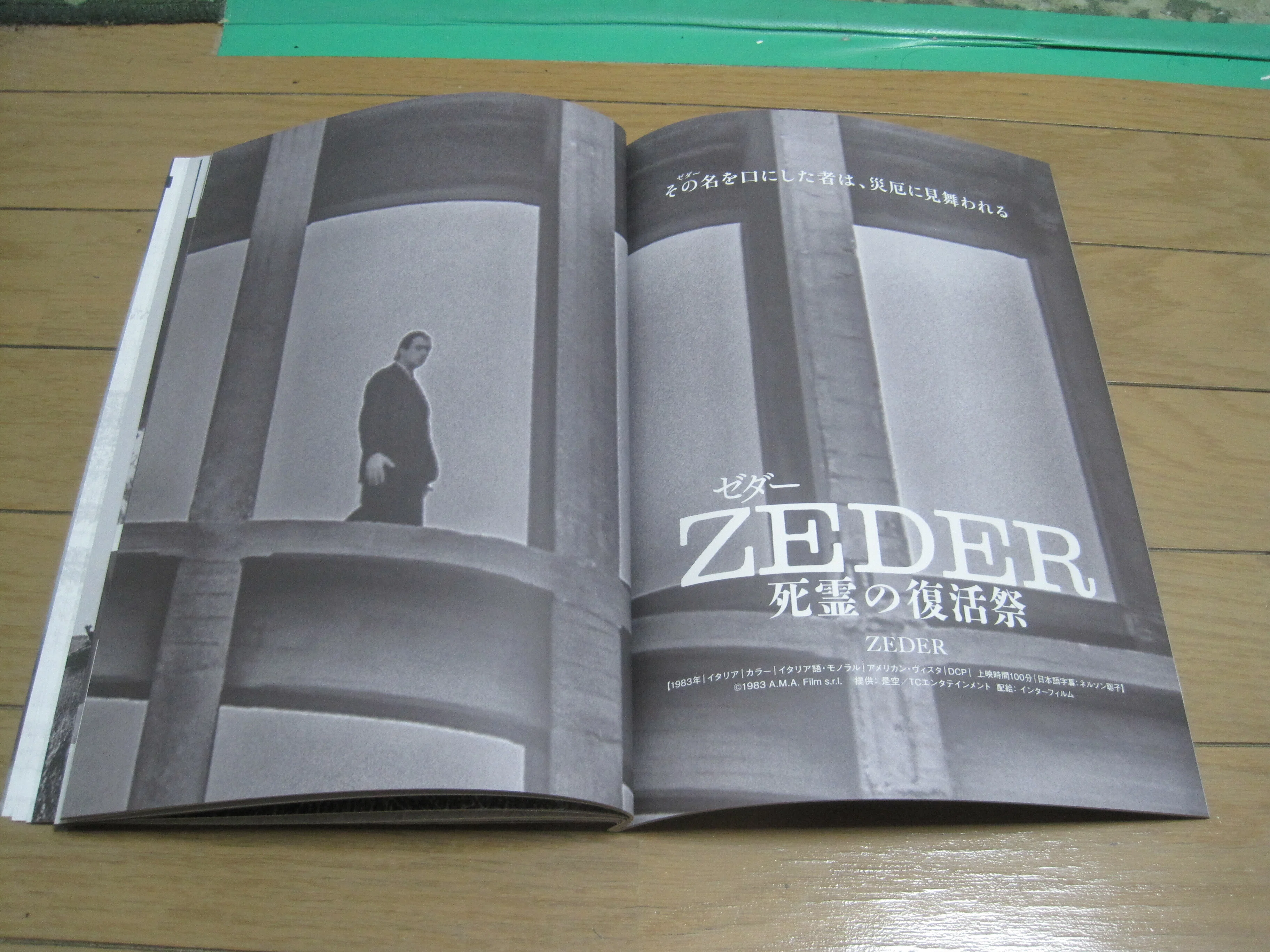 書籍「知られざるイタリアン・ホラーの世界 特集『笑む(えむ)窓のある