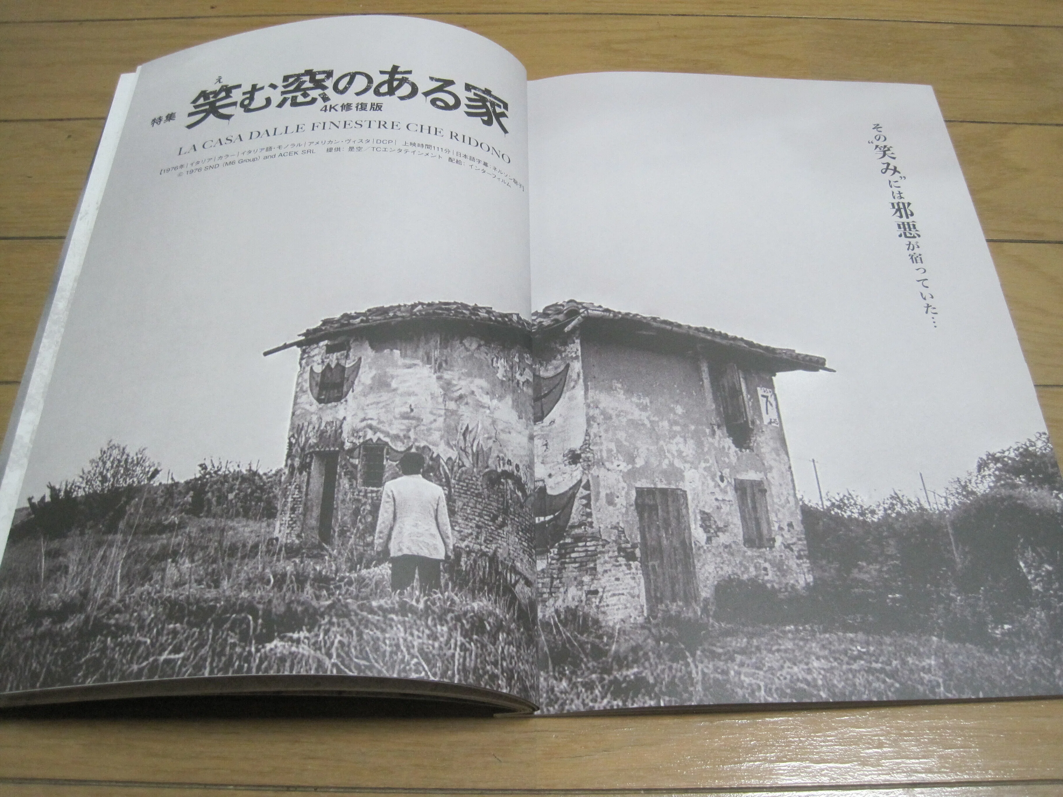 書籍「知られざるイタリアン・ホラーの世界 特集『笑む(えむ)窓のある