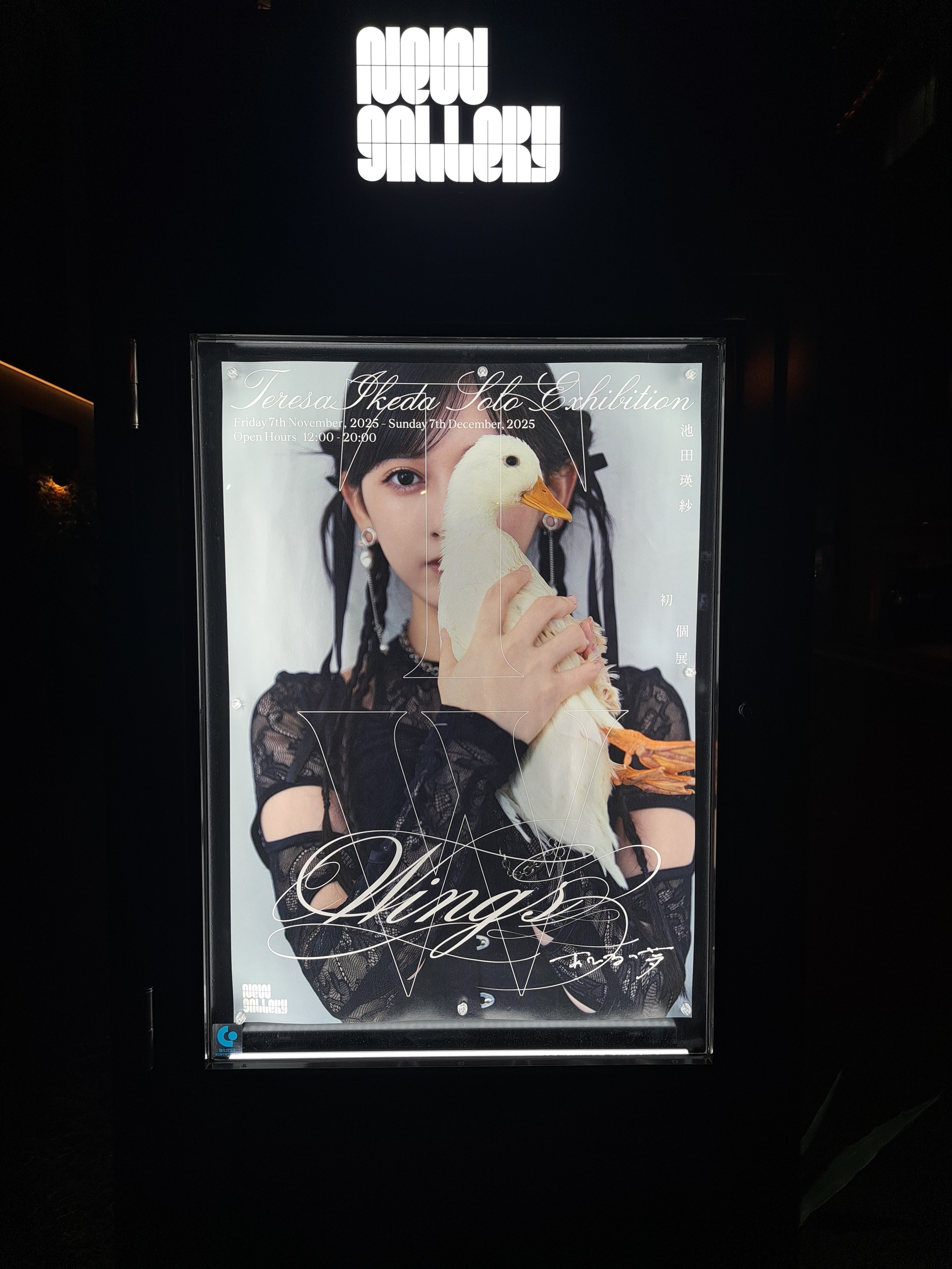 催】Wings:あひるの夢｜ジロ頭巾