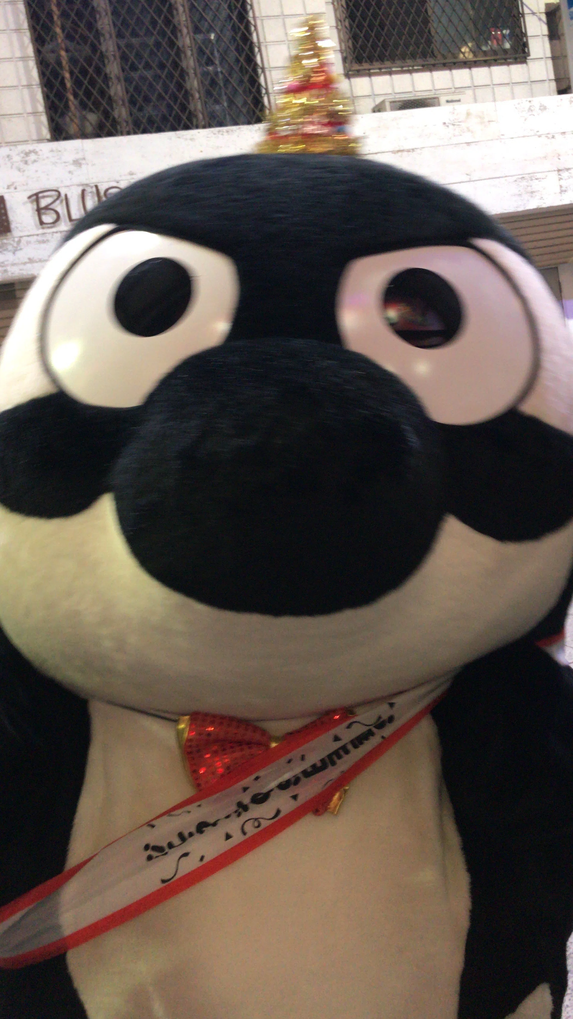 グランパスくんの誕生会に行った話｜ゆたんぽ