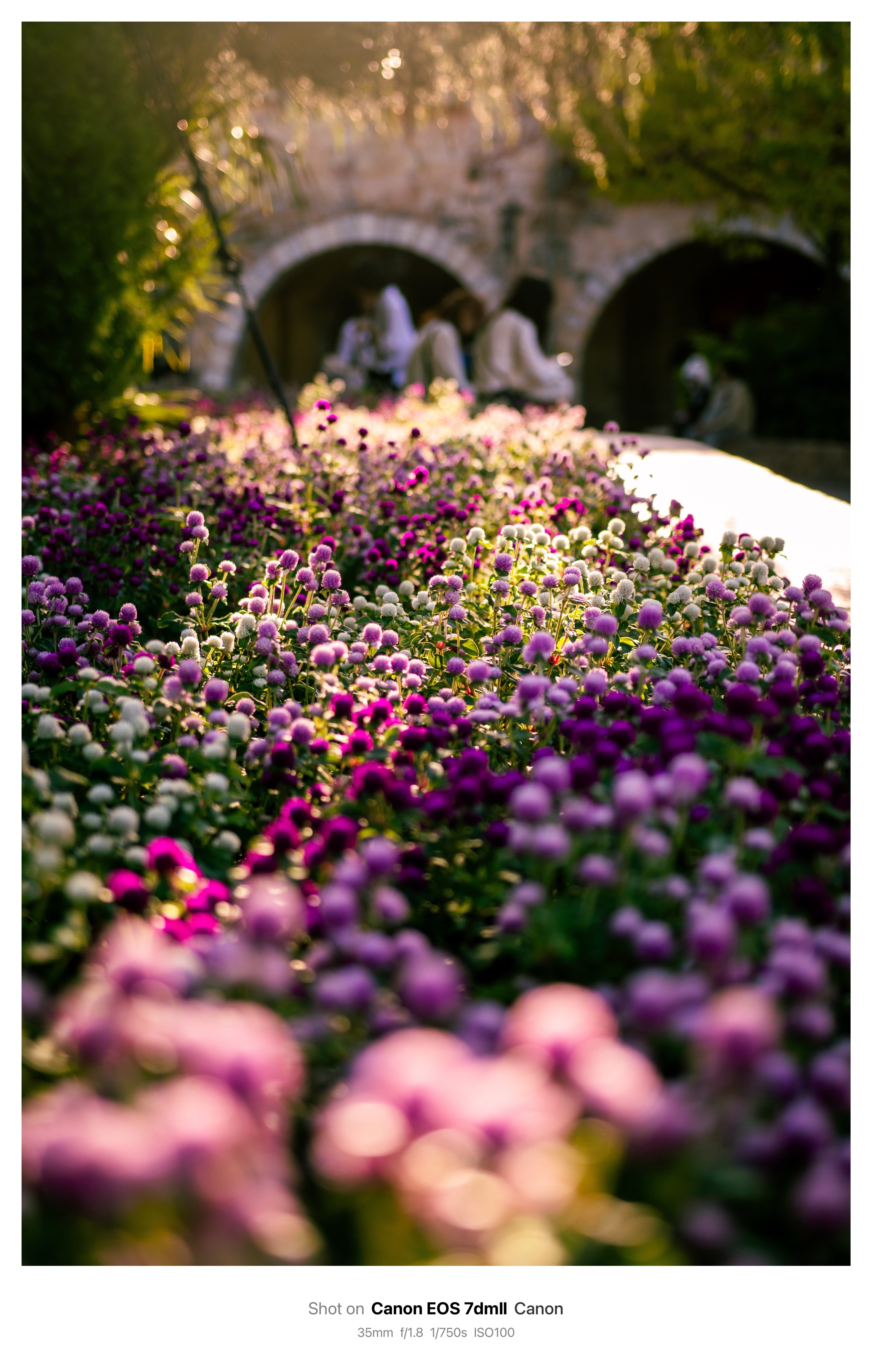 修学旅行にカメラを持って行った高校生の話。｜Humog