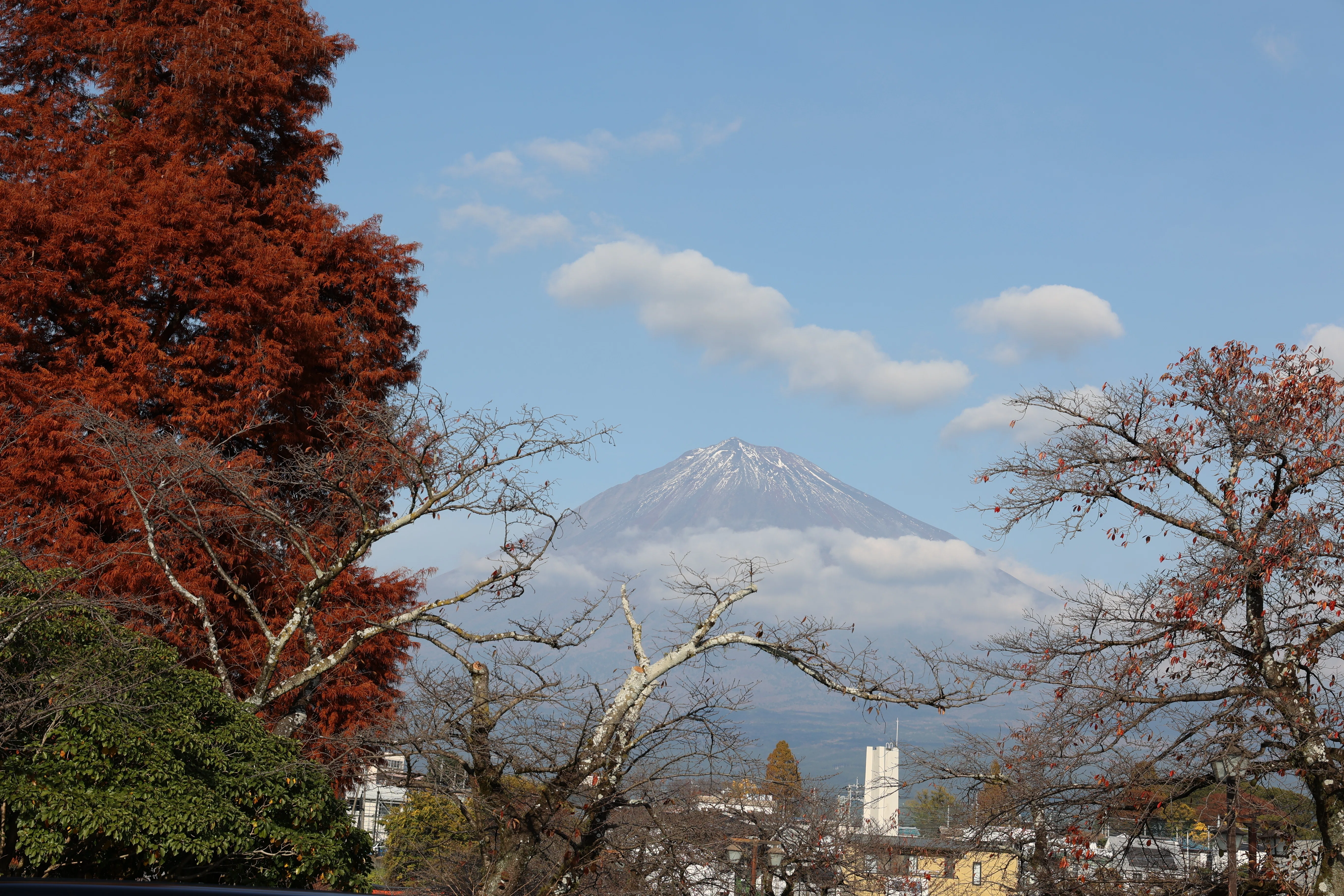 静岡県富士宮市】富士山を神として祀る。富士山本宮浅間大社｜hinako l