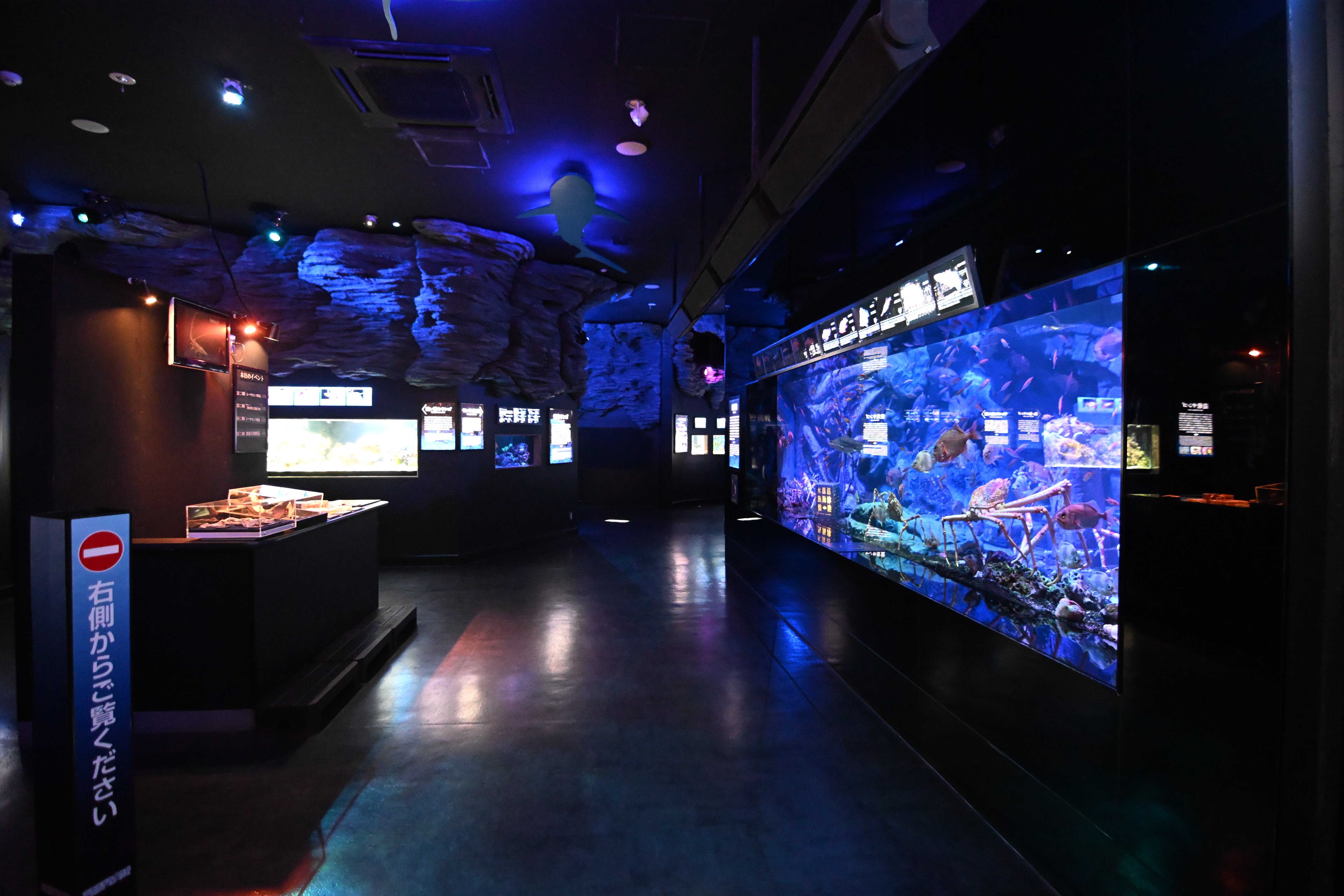 20251123_沼津港深海水族館【Nikon Z50IIと水族館】｜山ネズミ