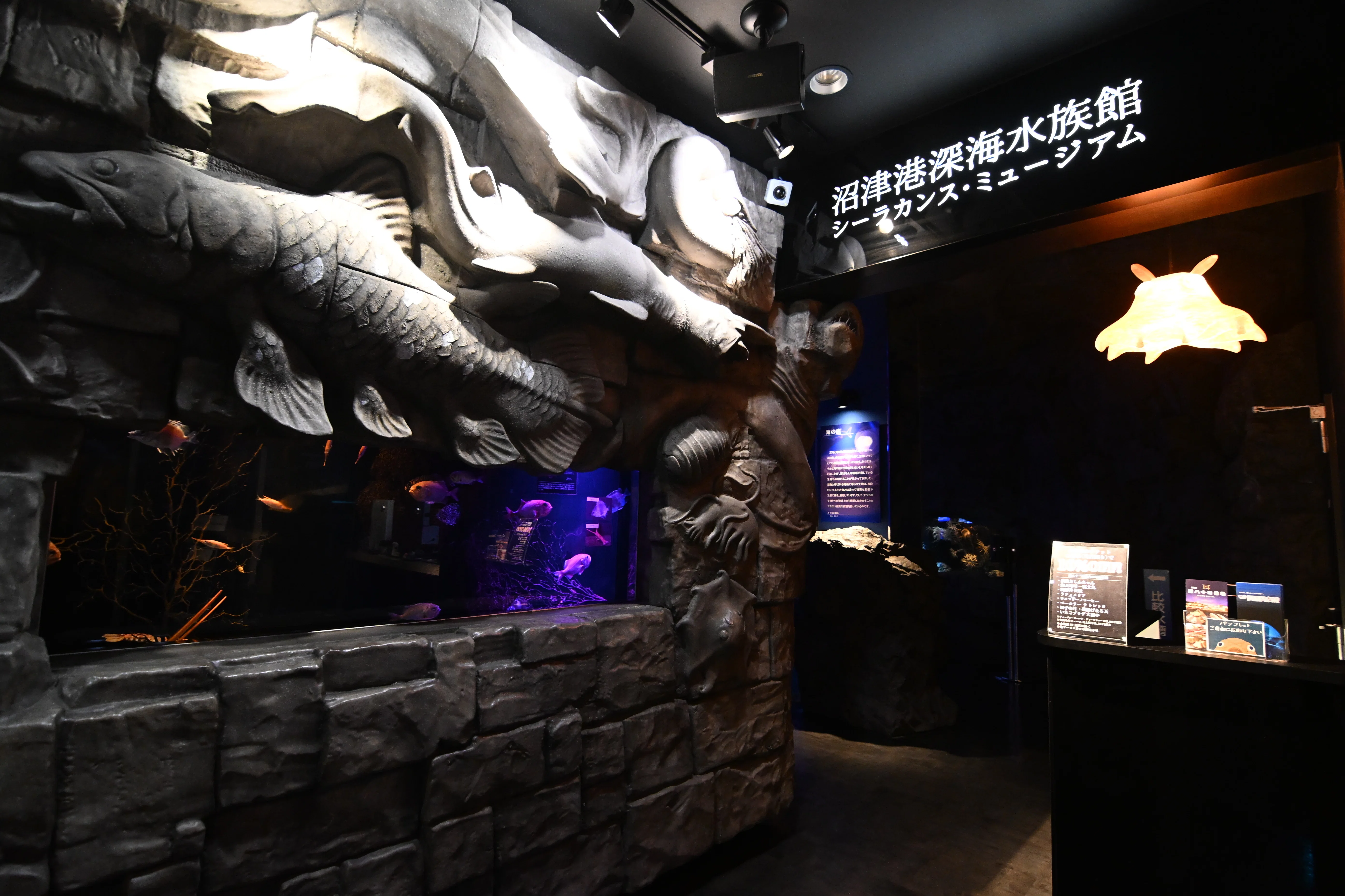 20251123_沼津港深海水族館【Nikon Z50IIと水族館】｜山ネズミ