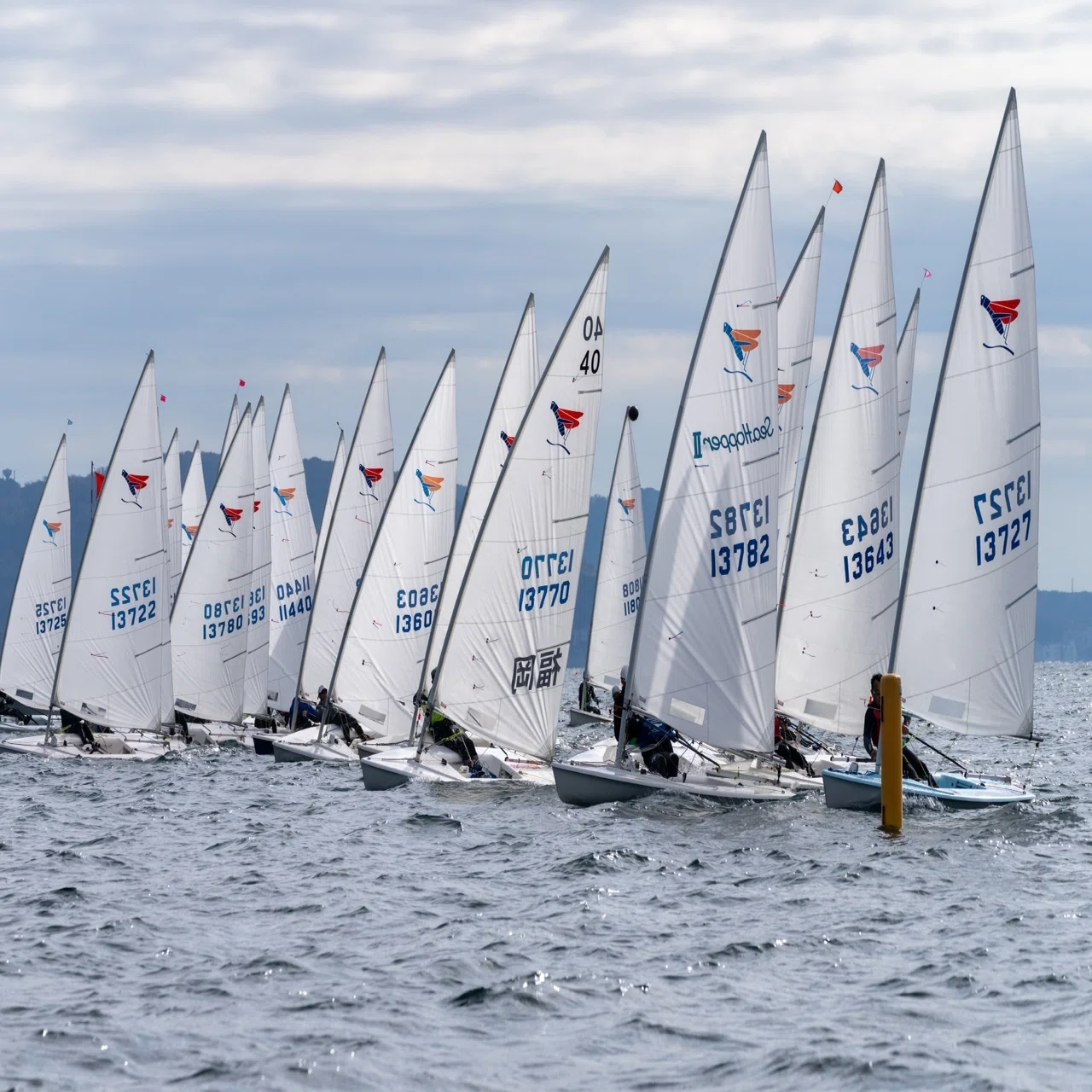 愛しのシーホッパーよ、永遠に。 【We are Sailing! 】｜ヤマハ発動機 