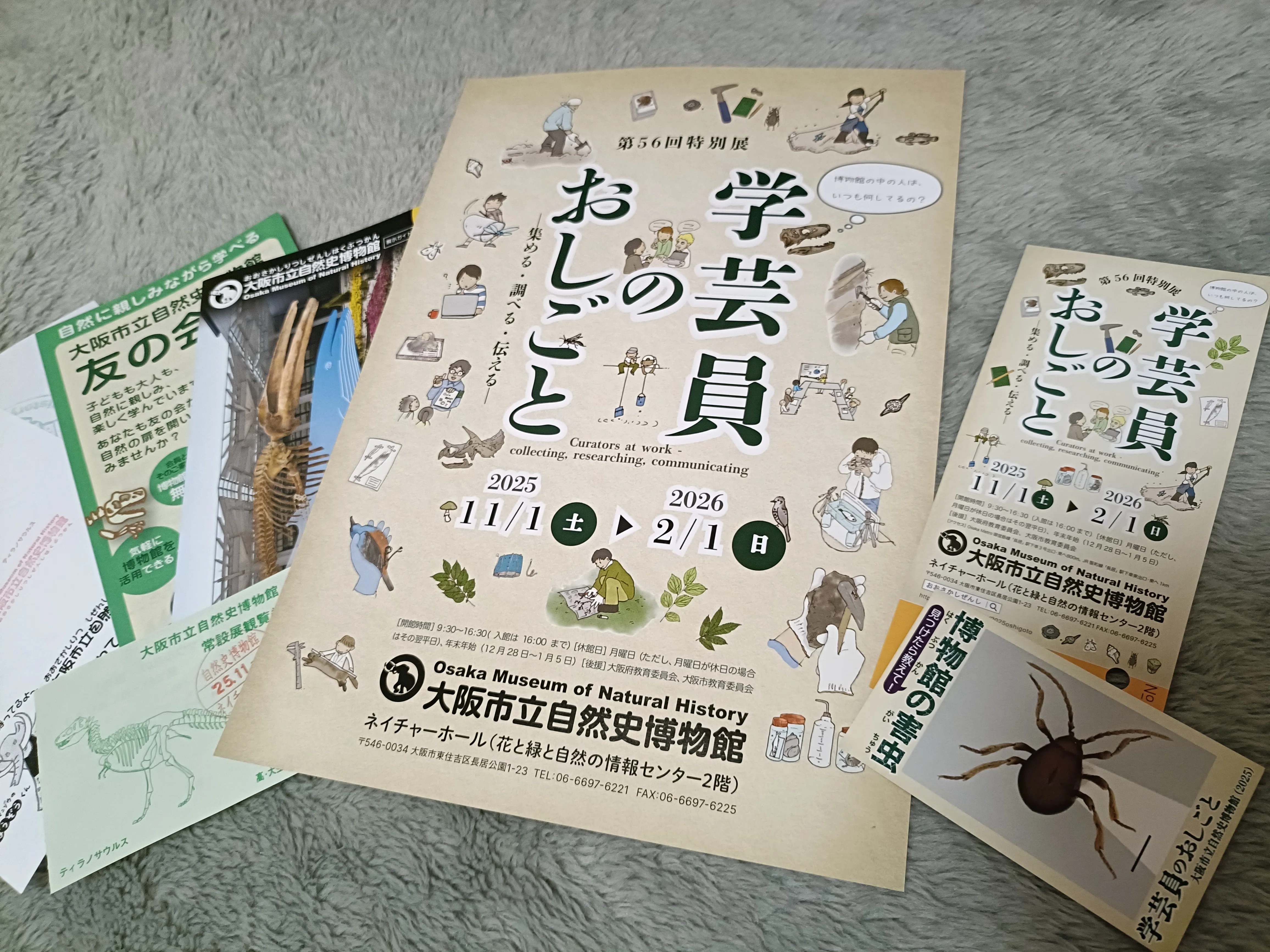 鑑賞ログ】『学芸員のおしごと』大阪市立自然史博物館／書き散らし｜玄