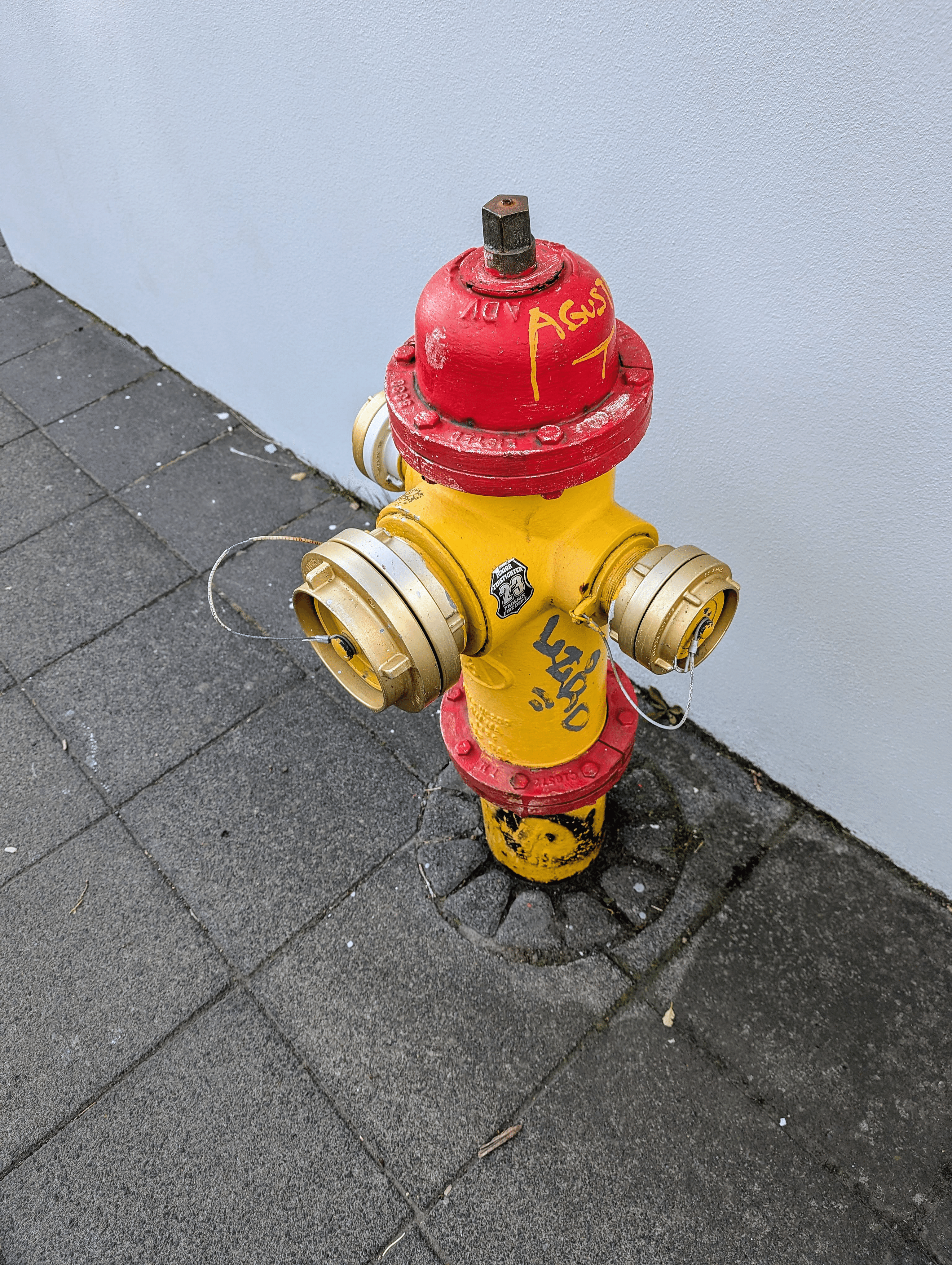 アイスランド🇮🇸 に行った話：かわいい消火栓｜たぬ