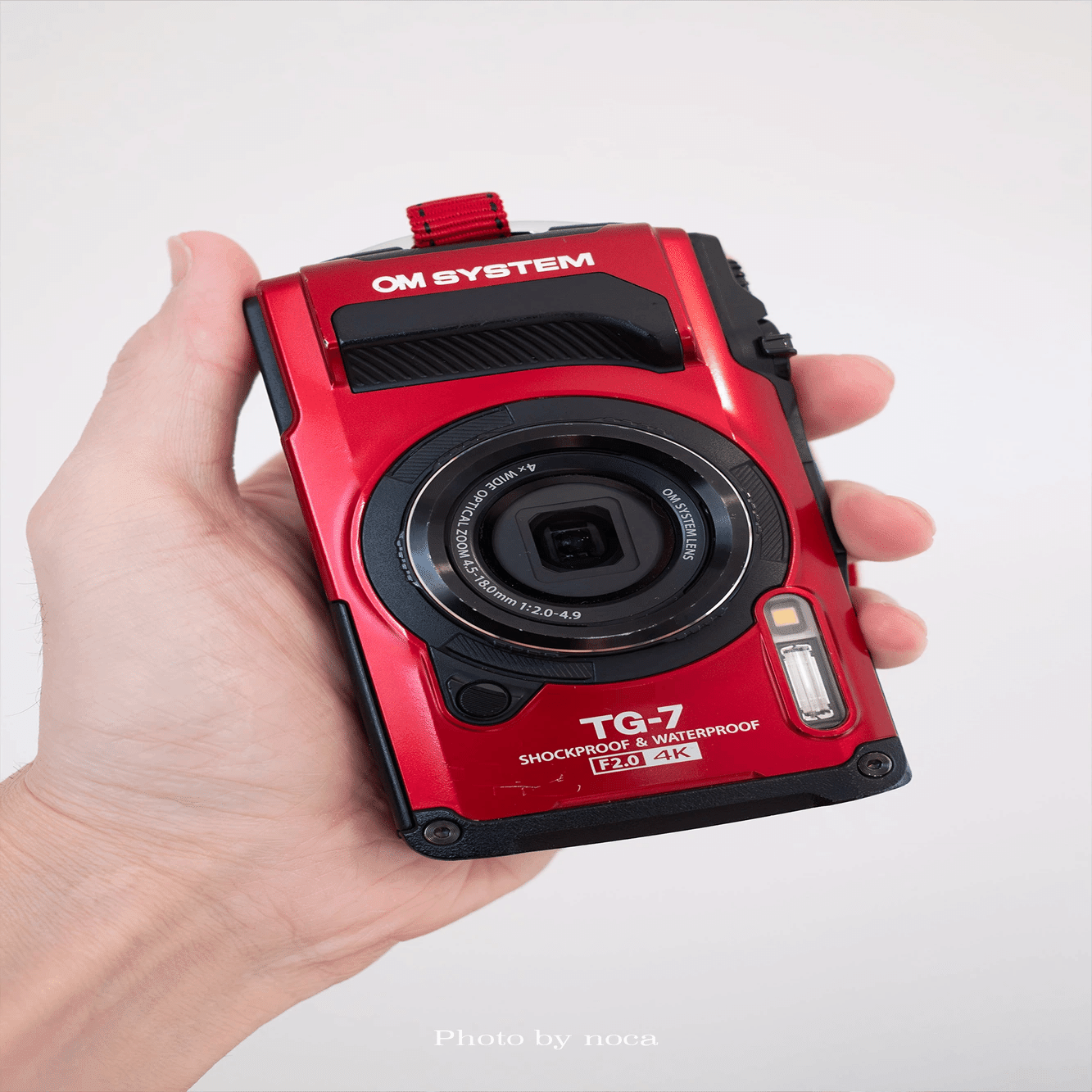 雨キャンプ / TG-7作例】高画素機を置いて、しっとりとした森に溶ける