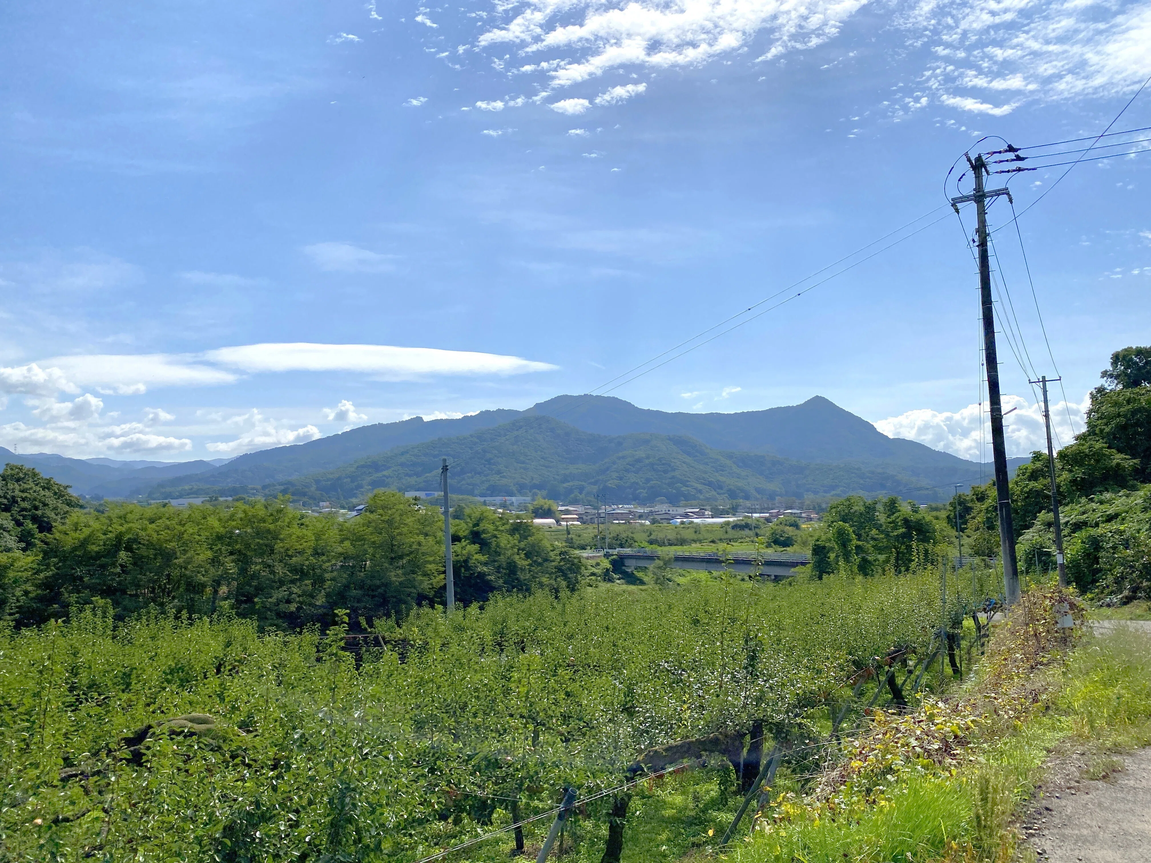 斎藤茂吉：山形・上山の斎藤茂吉記念館、歌碑、胸像、箱根山荘の勉強