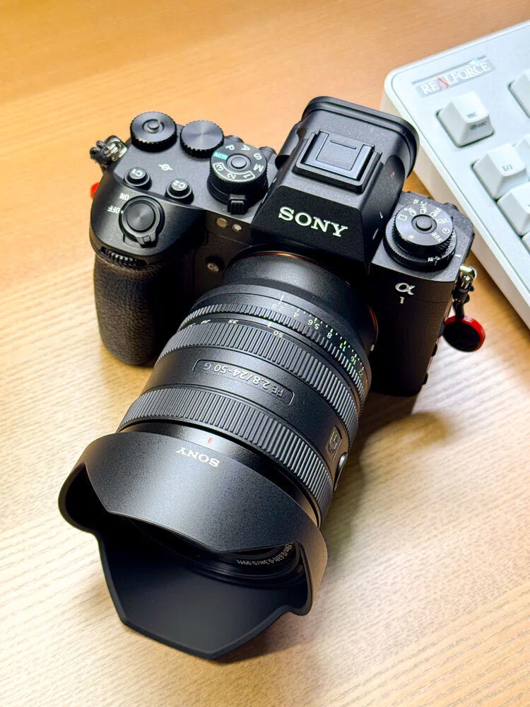 SONY FE 24-50mm F2.8 G レビュー｜TERU