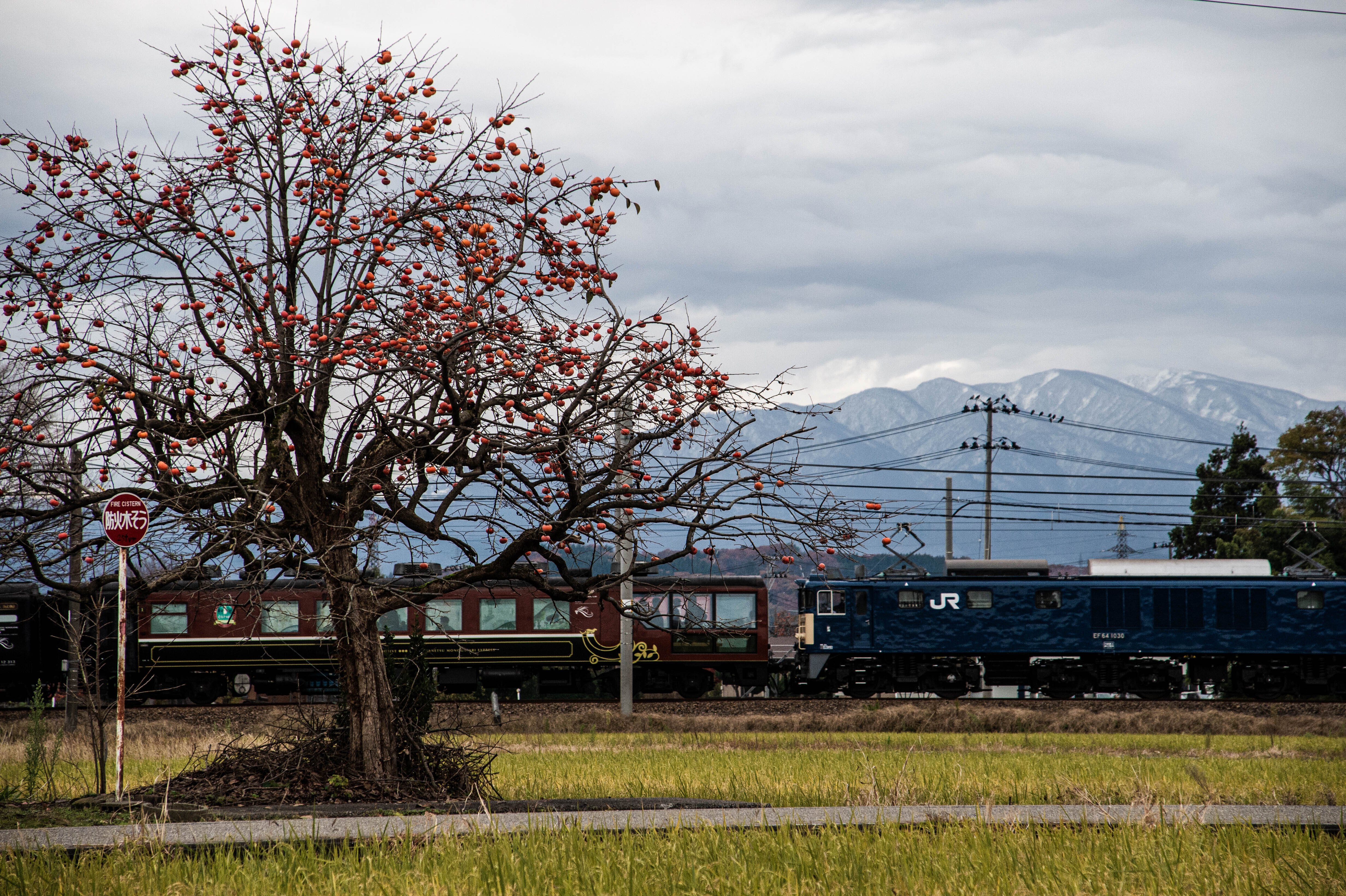 2025年11月24日 ありがとうEL号｜Yutaの撮り鉄日記