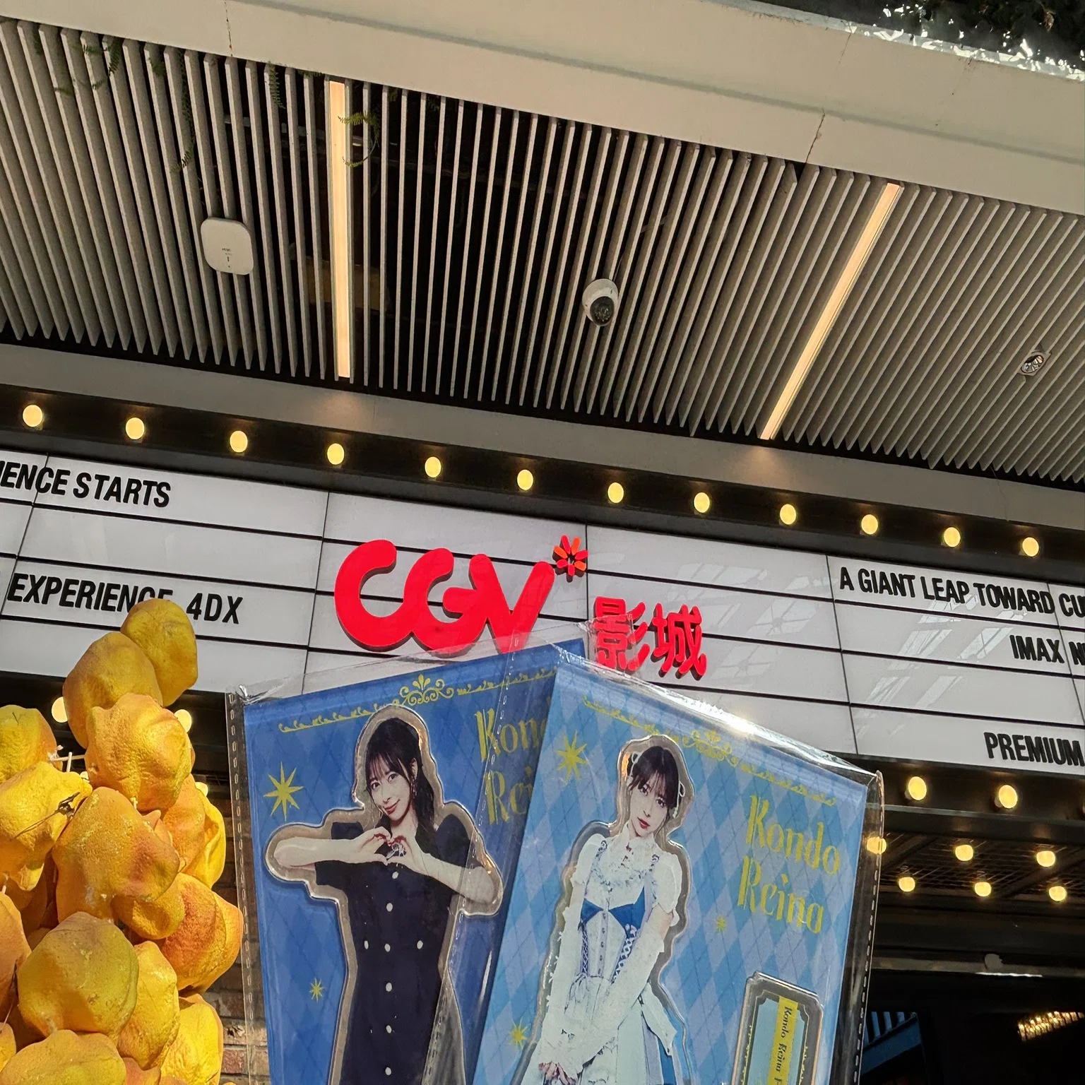 近藤玲奈 声優デビュー10周年記念ファンミーティング in 上海