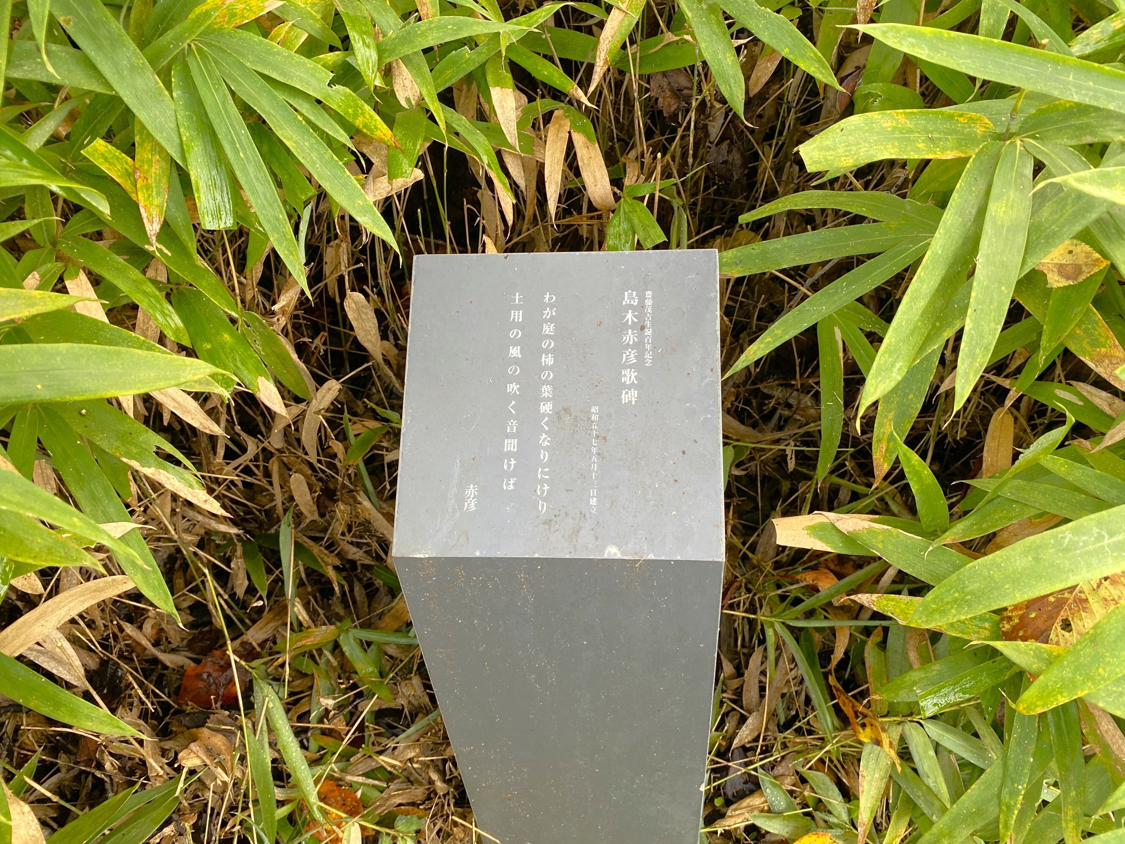 斎藤茂吉：山形・上山の斎藤茂吉記念館、歌碑、胸像、箱根山荘の勉強