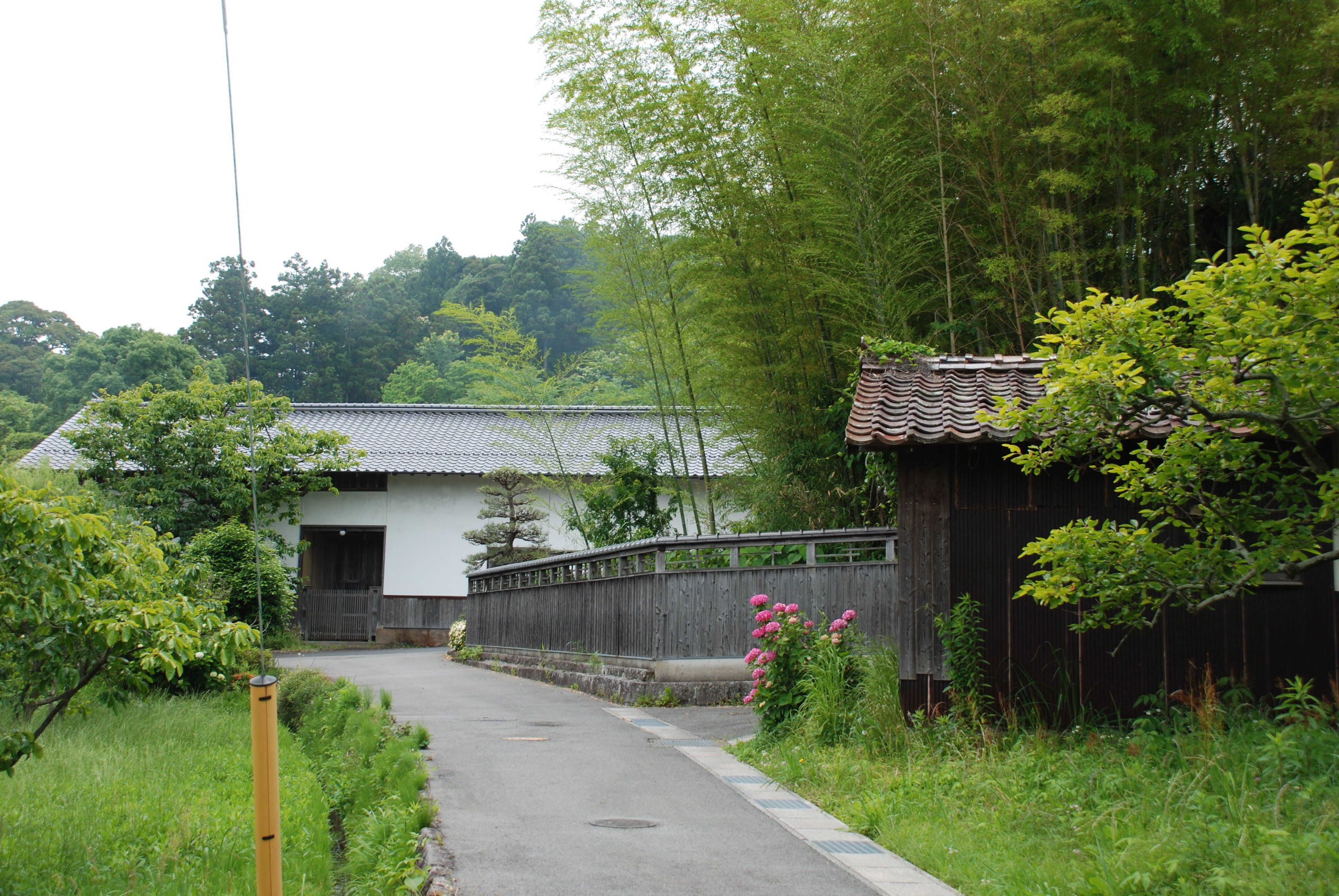 ヘボ碁百景5 ヘボアマチュア、道策全集を並べる｜puspaka