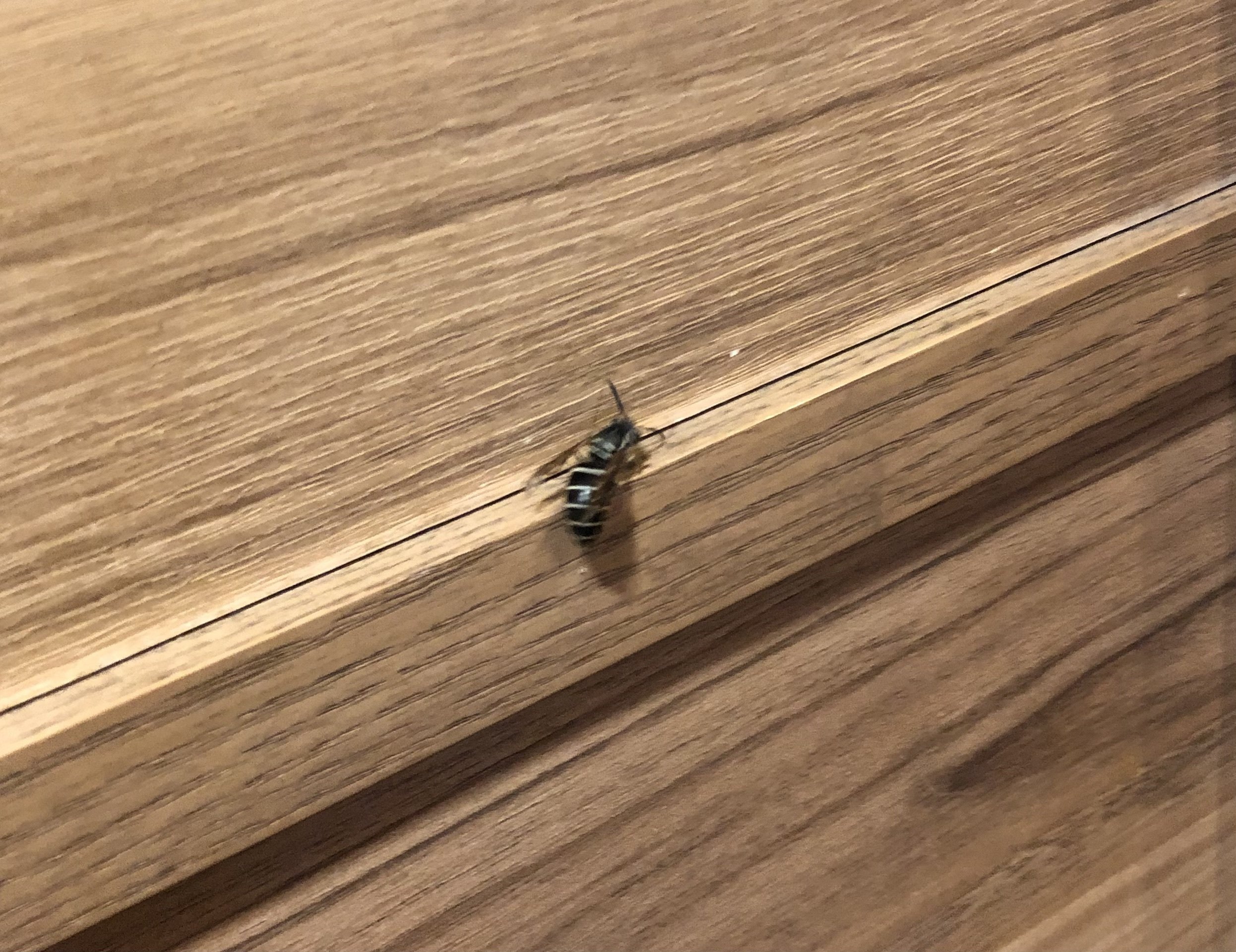 開業しました｜knott books