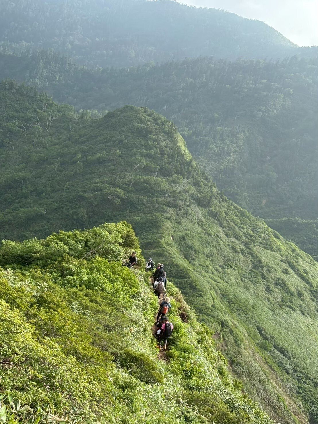 HATAGO井仙100周年記念 苗場山登山大会 -まさか？ 登ってみたよ苗場山