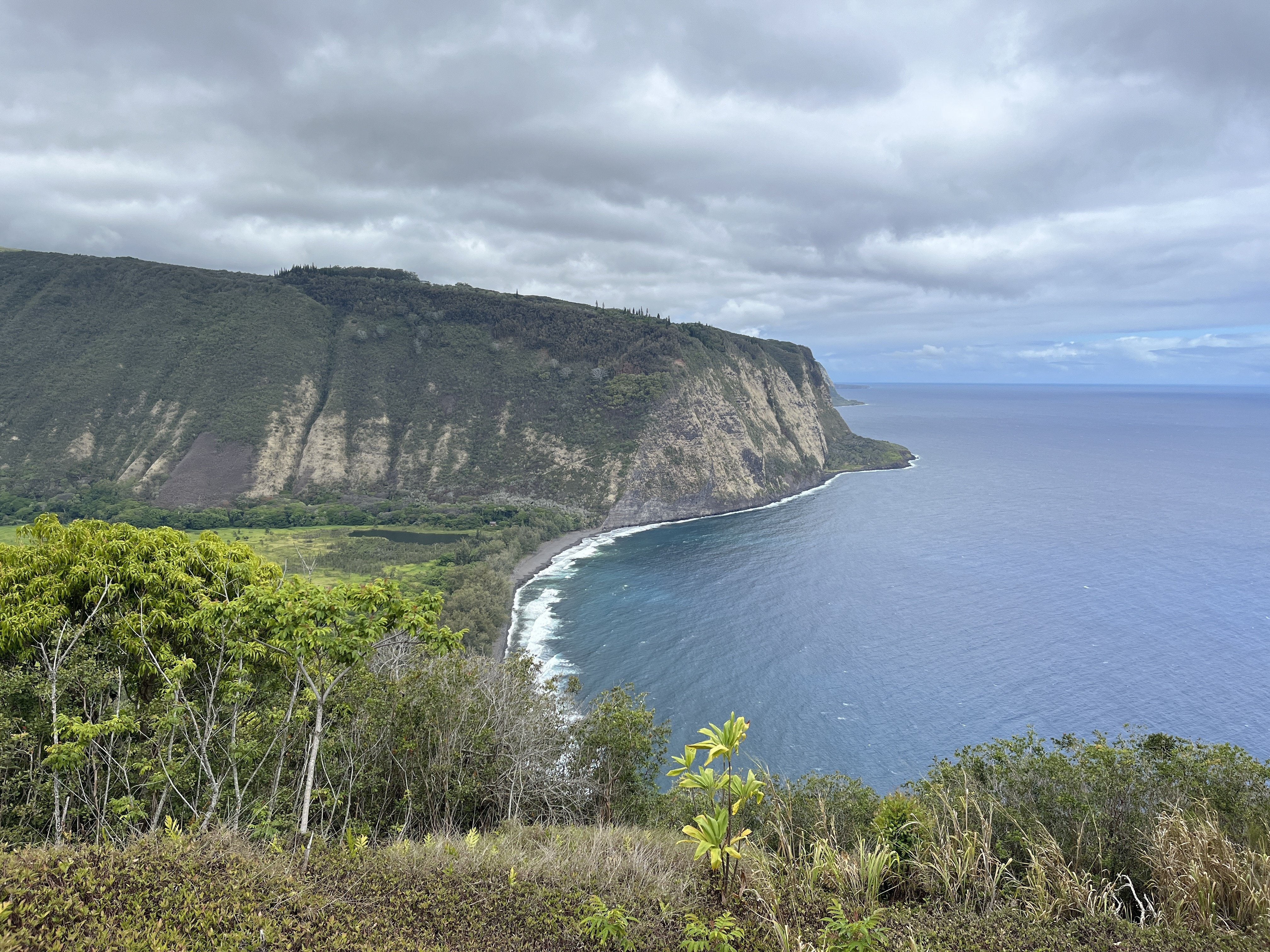 馬のいる景色 馬のいる景色の写真素材 - PIXTA