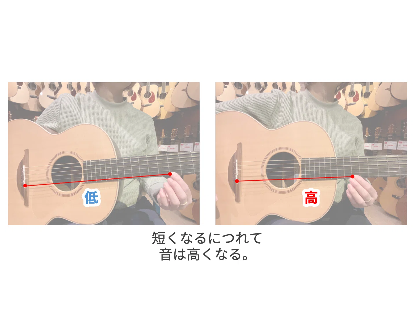 ギターの「弦高」ってなあに？【入門編】｜ドルフィンギターズの中の人たち