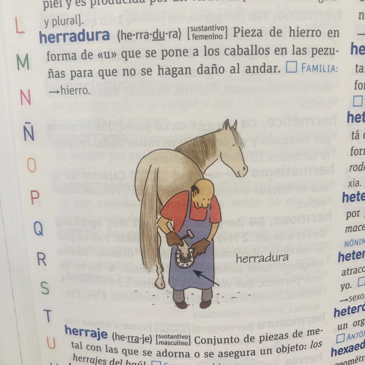 はじめての西西辞書におすすめ！スペイン語の辞書を引こう。｜インター