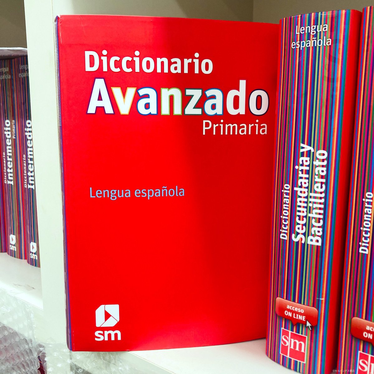 はじめての西西辞書におすすめ！スペイン語の辞書を引こう。｜インター