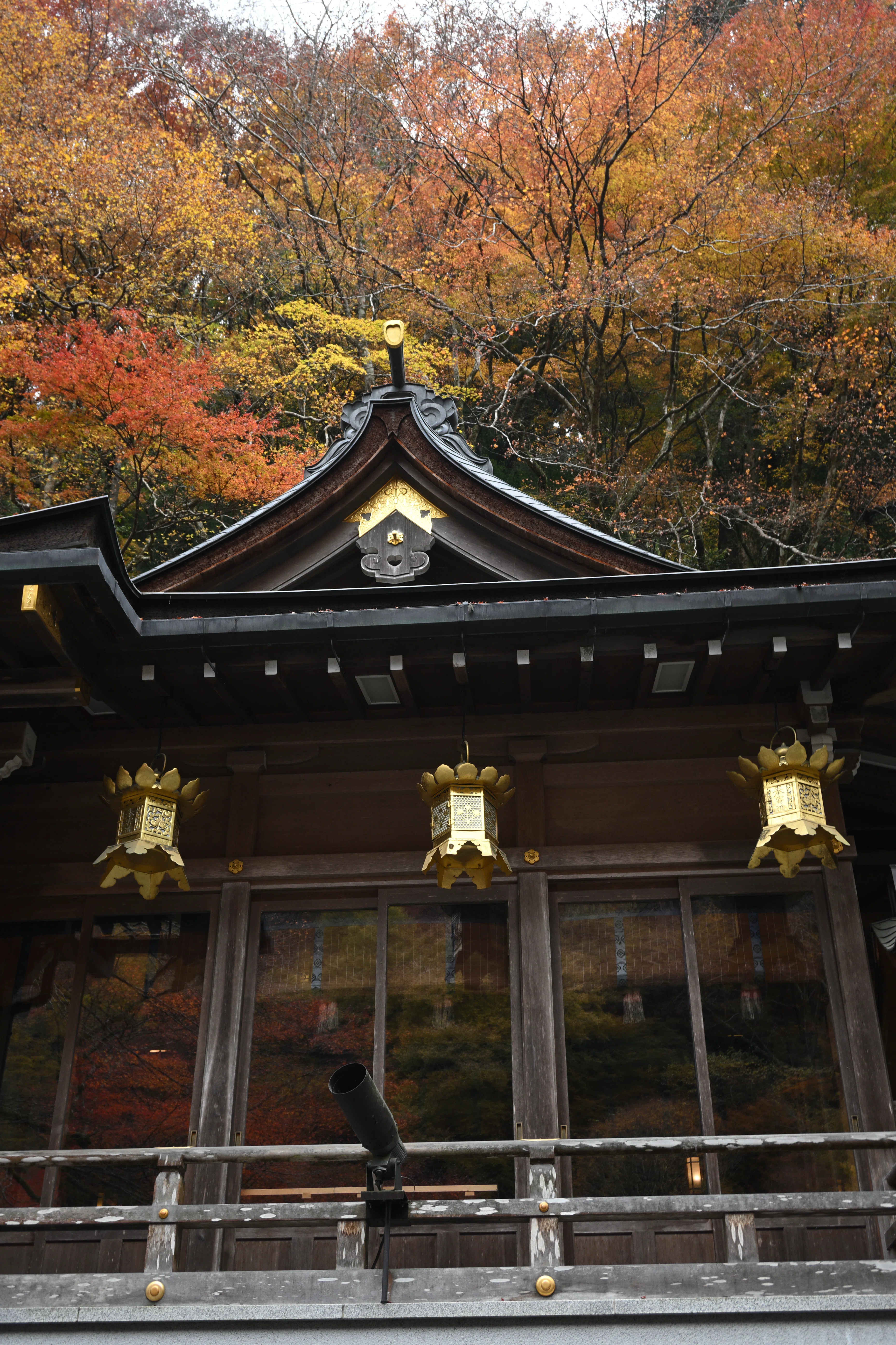 Z50IIで撮る京都（貴船の紅葉）｜HAJ