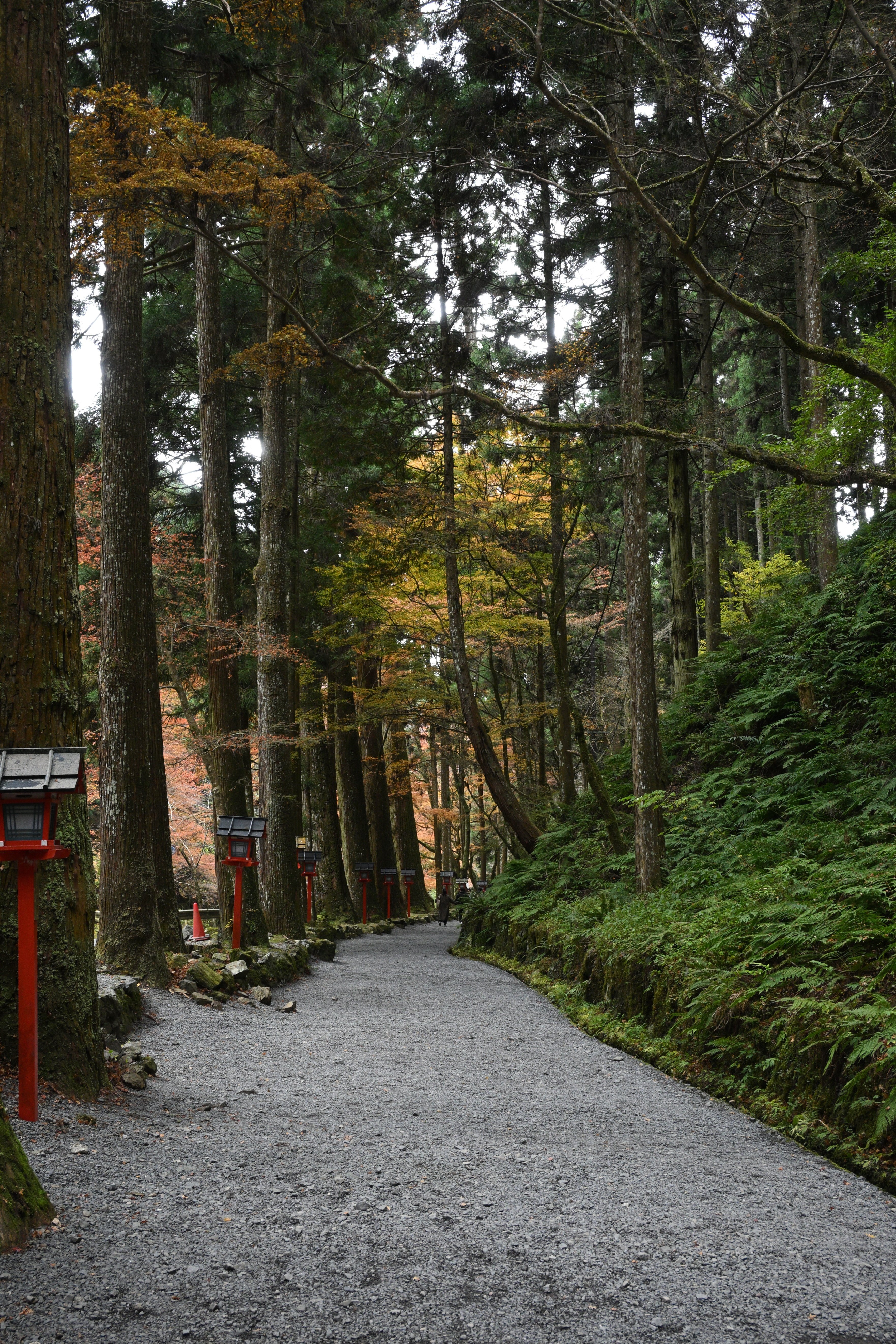 Z50IIで撮る京都（貴船の紅葉）｜HAJ