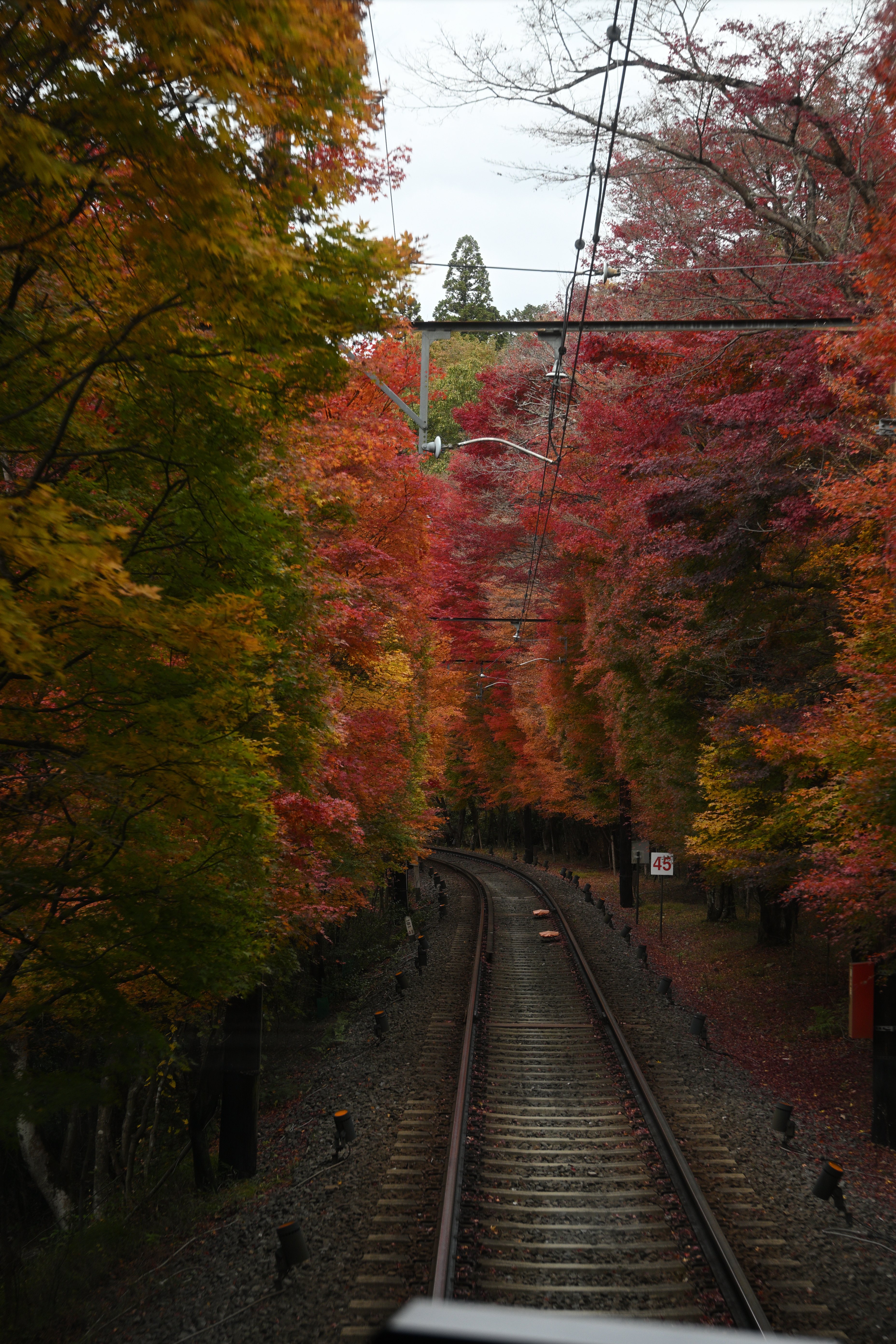 Z50IIで撮る京都（貴船の紅葉）｜HAJ
