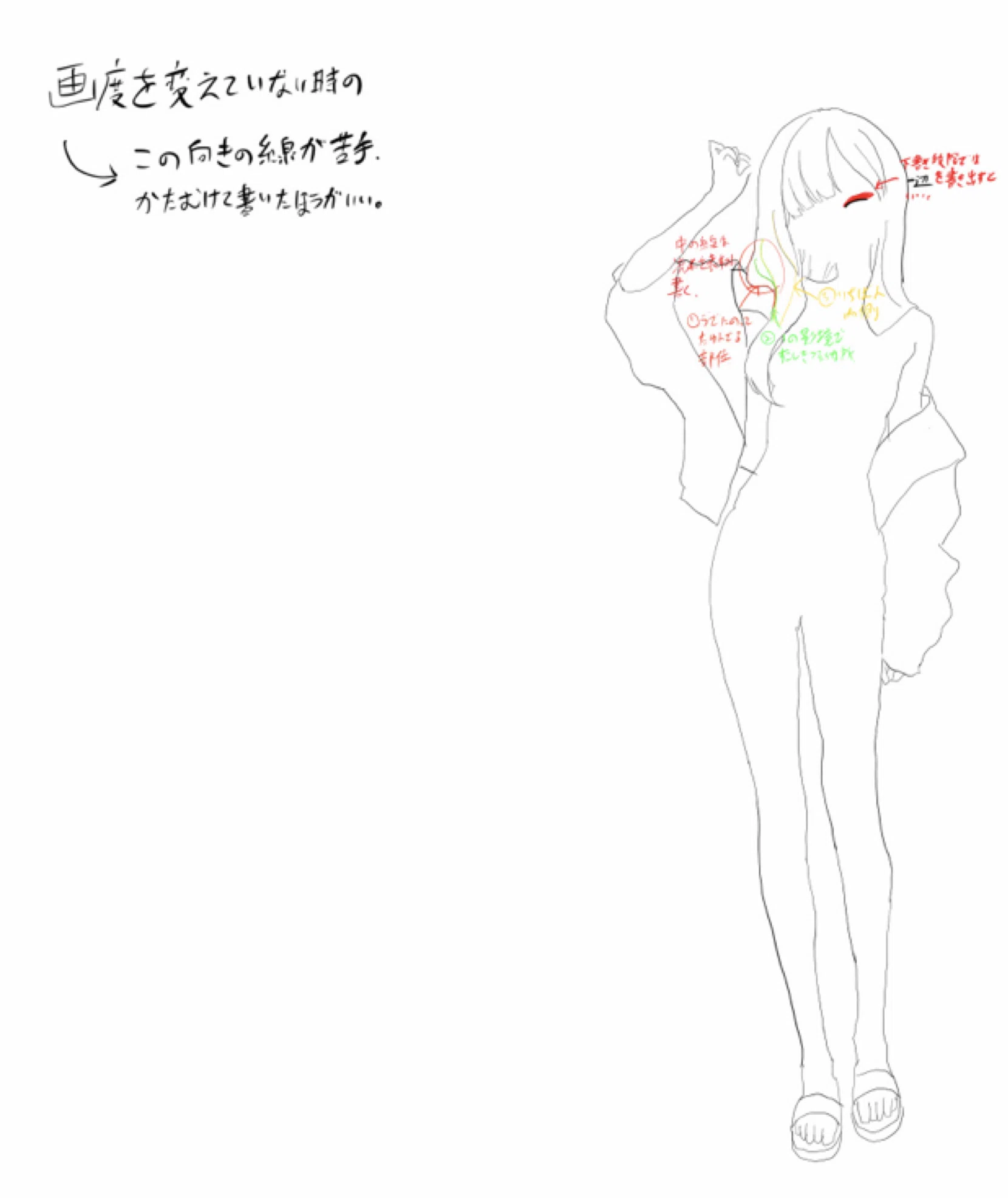イラスト始めて2週間。試した事と思ったこと｜サメたぬき