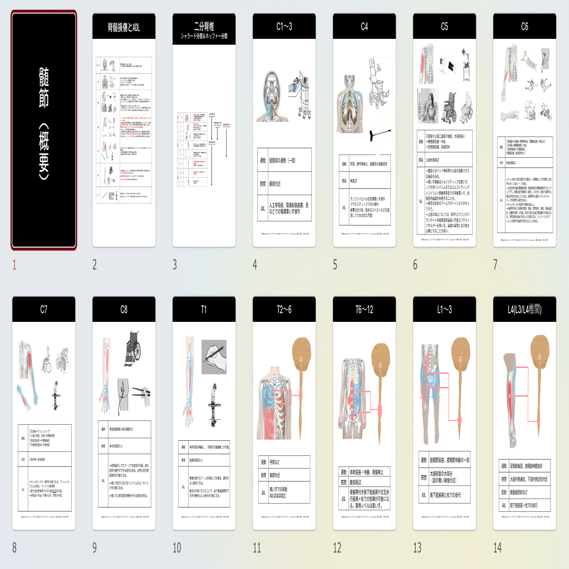 裁断 脊椎脊髄損傷アドバンス 713bX5HAHiL.jpg_BO30,255,255,