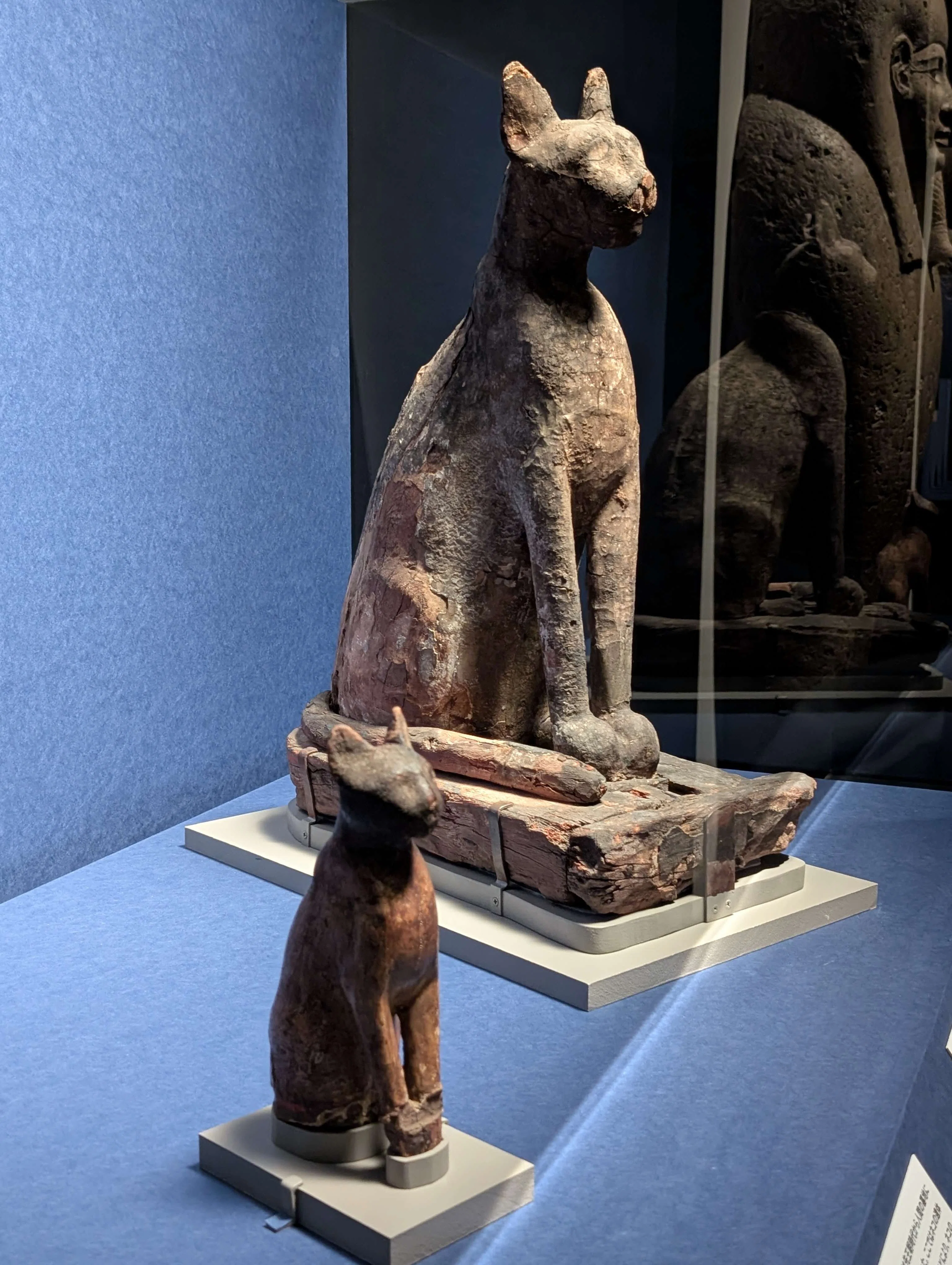 古代エジプト展」に行ってきました｜そら嬢