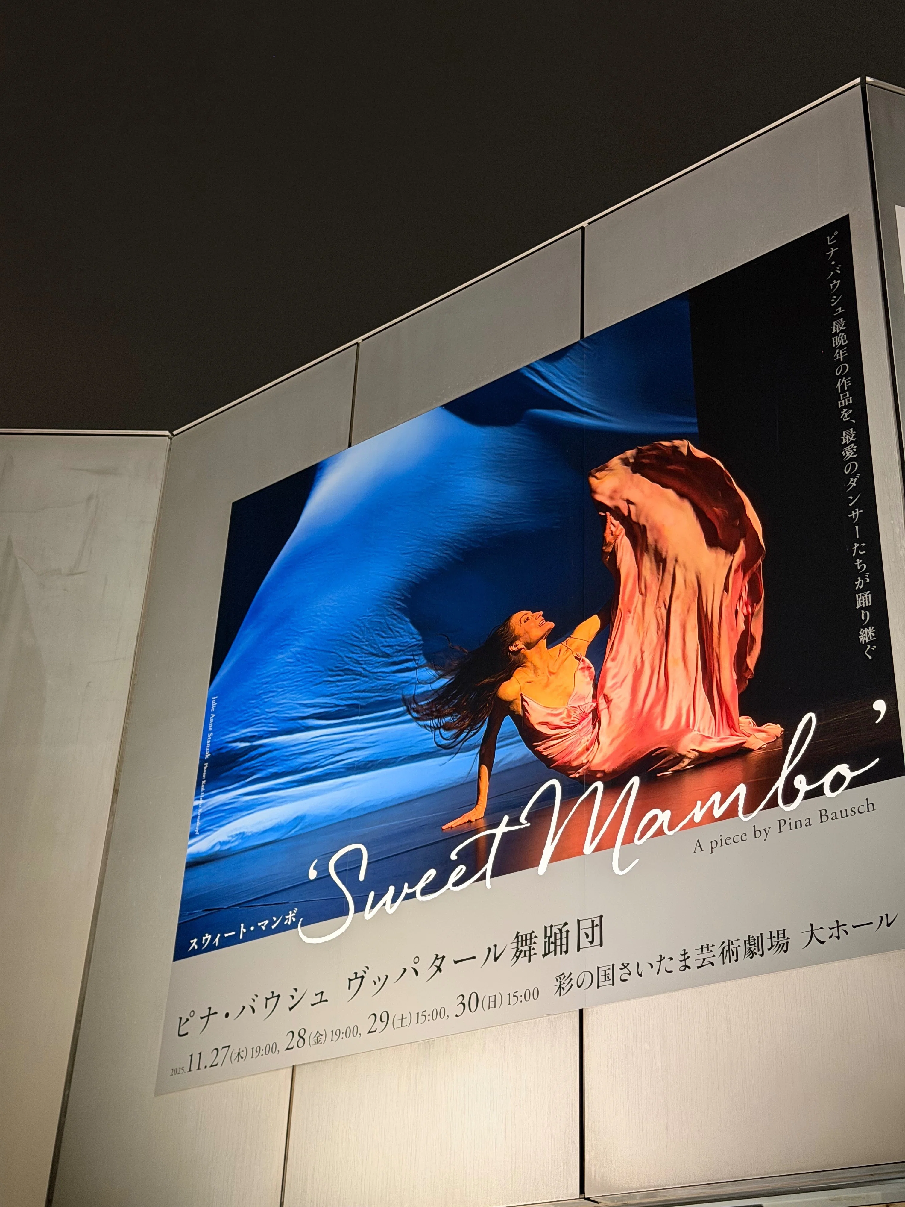 走り出す身体と、止められる人生 ─ ヴッパタール舞踊団来日公演