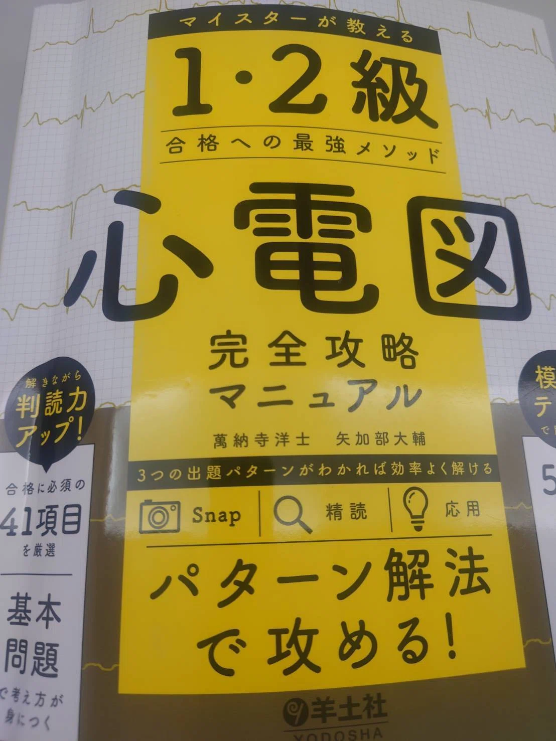 心電図検定について｜KumaNa