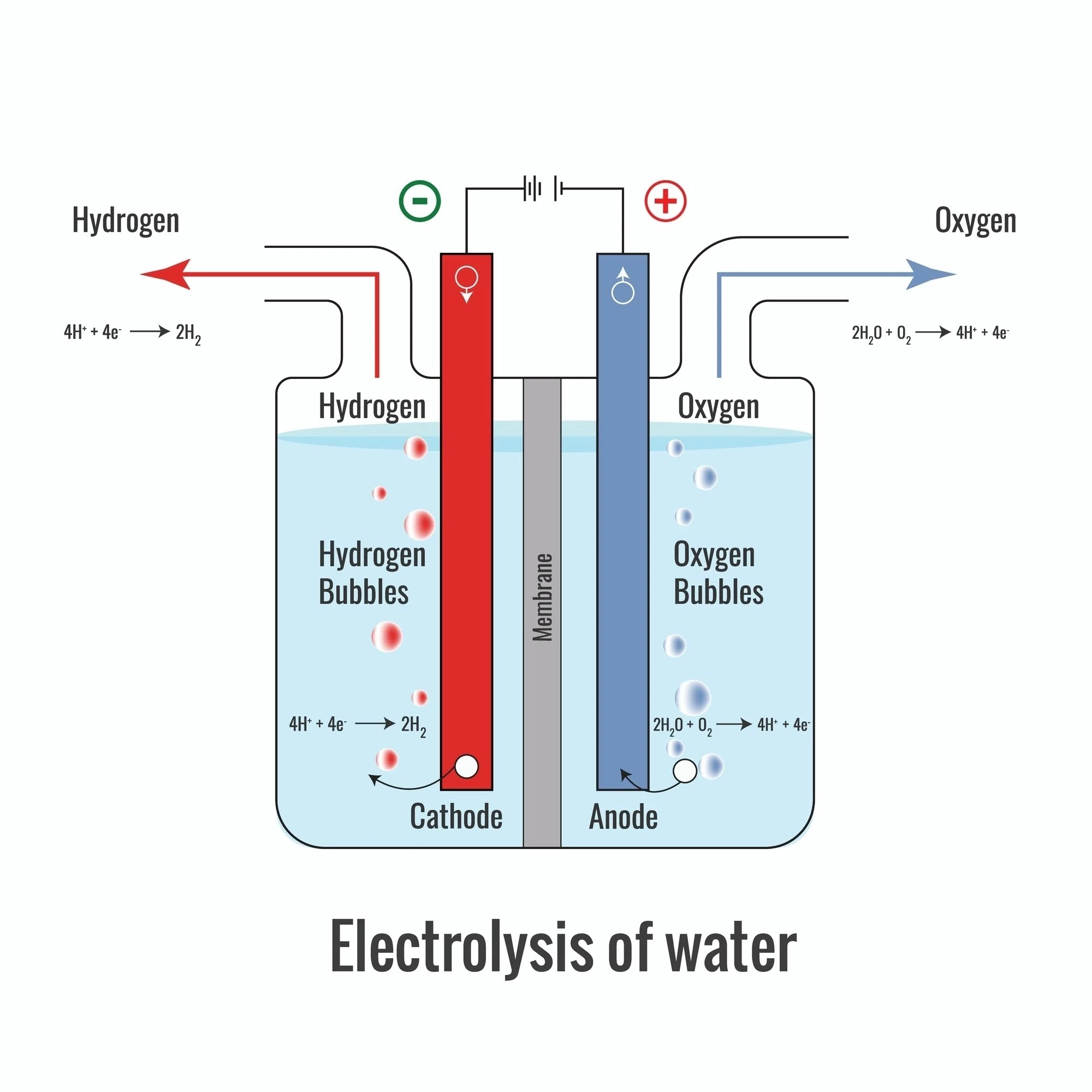 💧 クリーンエネルギーの鍵：水電解による水素製造の科学｜さぷり。