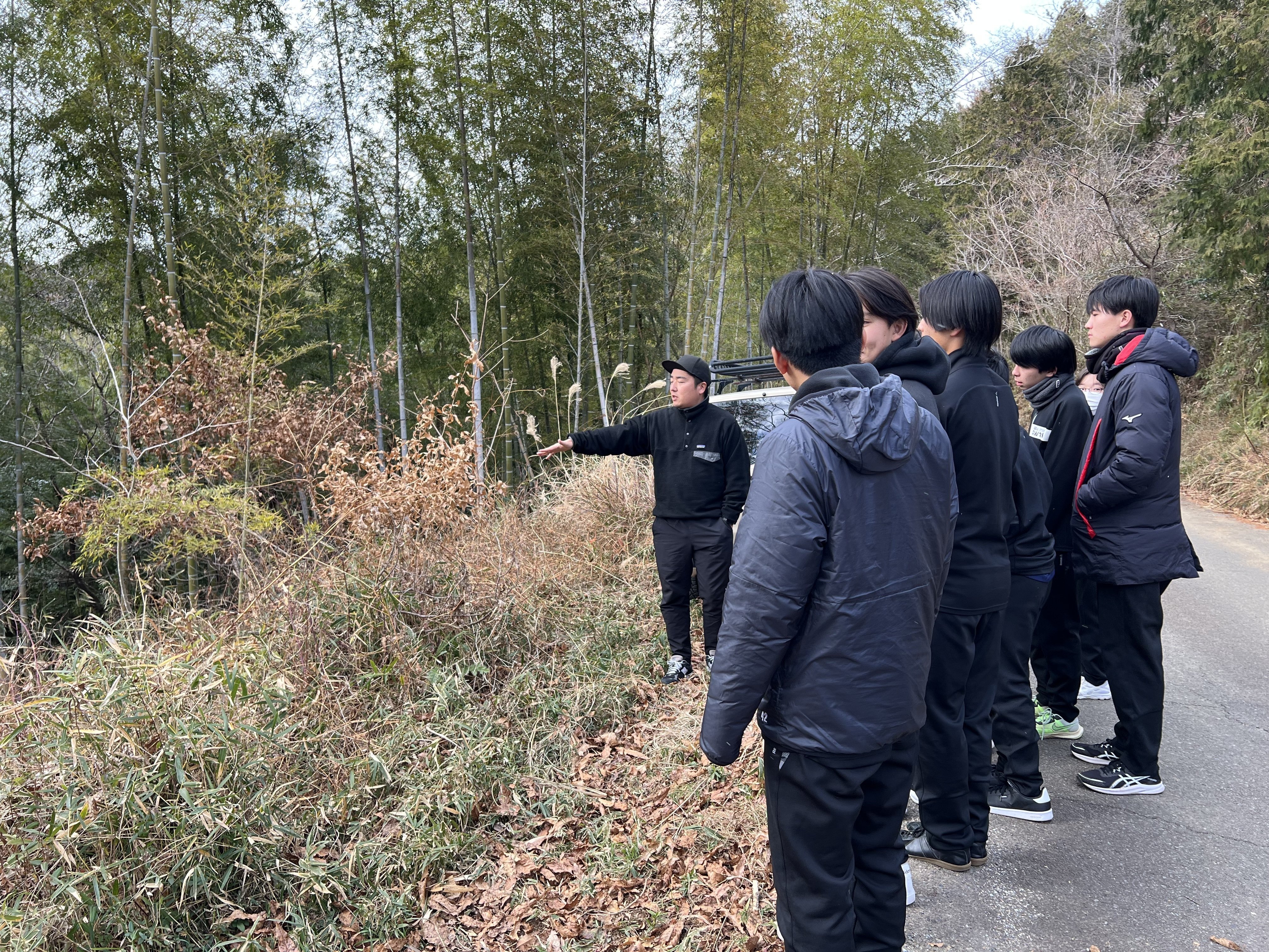 LOCALBAMBOO株式会社】放置竹林やメンマについていろいろ聞いてみた件